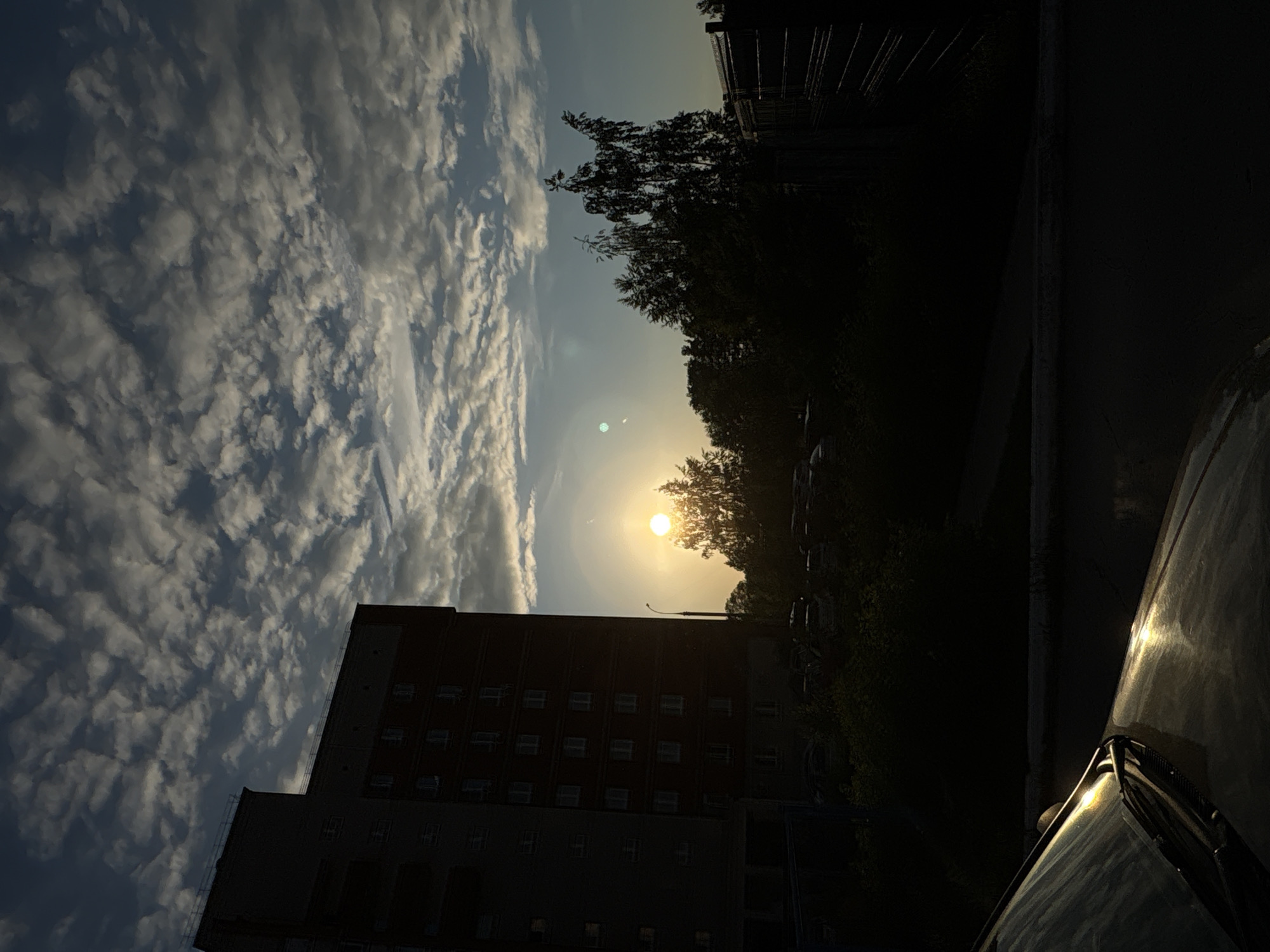 The image depicts an urban or suburban scene at either sunrise or sunset in the city of Chaikovsky, Russia. The sky occupies the upper two-thirds, featuring scattered altocumulus or stratocumulus clouds across a blue-grey expanse, with lighter tones near the horizon. The low-angle sun is visible in the right-middle section, partially obscured by the dark silhouettes of deciduous trees, and exhibits prominent lens flare with two distinct blue-green artifacts to its left.
A multi-story residential building, predominantly in deep shadow, occupies the left half of the frame. It features a taller, grey section connected to a slightly shorter, reddish-brown section with multiple rectangular windows. A street lamp post is silhouetted between the building and the trees. Below the treeline, a dark area suggests a parking lot with obscured vehicles. The immediate foreground shows the hood and windshield of a parked vehicle, reflecting the golden sunlight in a prominent streak. A dark, possibly metal, fence or structure is partially visible on the far right. The overall scene is characterized by high contrast due to the direct sunlight casting long, deep shadows.