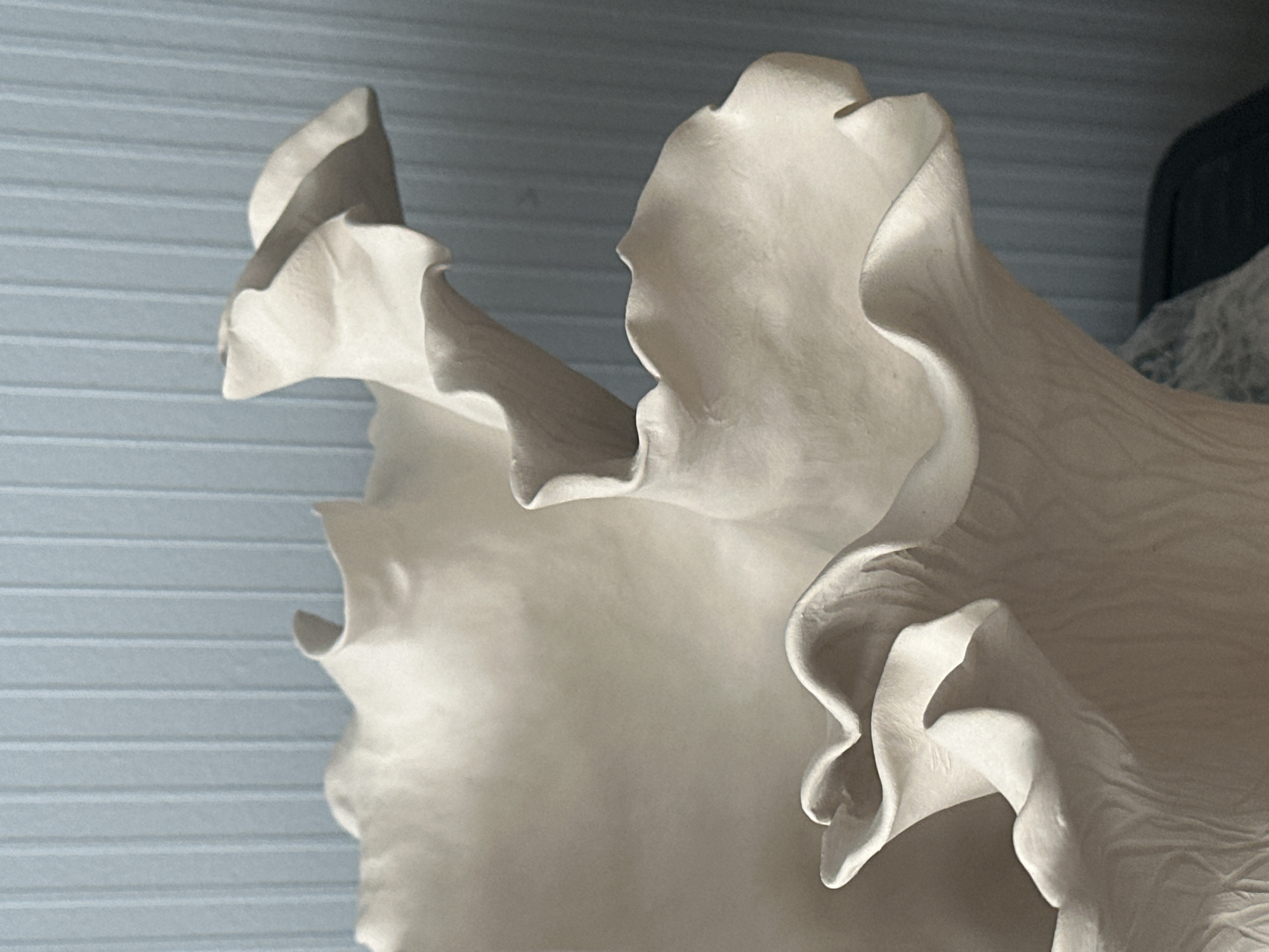 The image displays a close-up, abstract view of a large, white, ruffled ceramic sculpture against a subtly striped blue background. The sculpture features organic, wavy edges and a textured surface, with areas of light and shadow creating depth and form. The lighting suggests a natural light source, casting soft shadows. The blue background appears to be a wall with vertical paneling. There are no people or animals visible in the image. The specific location in Nevinnomyssk, Russia, cannot be determined from the visual information provided.
