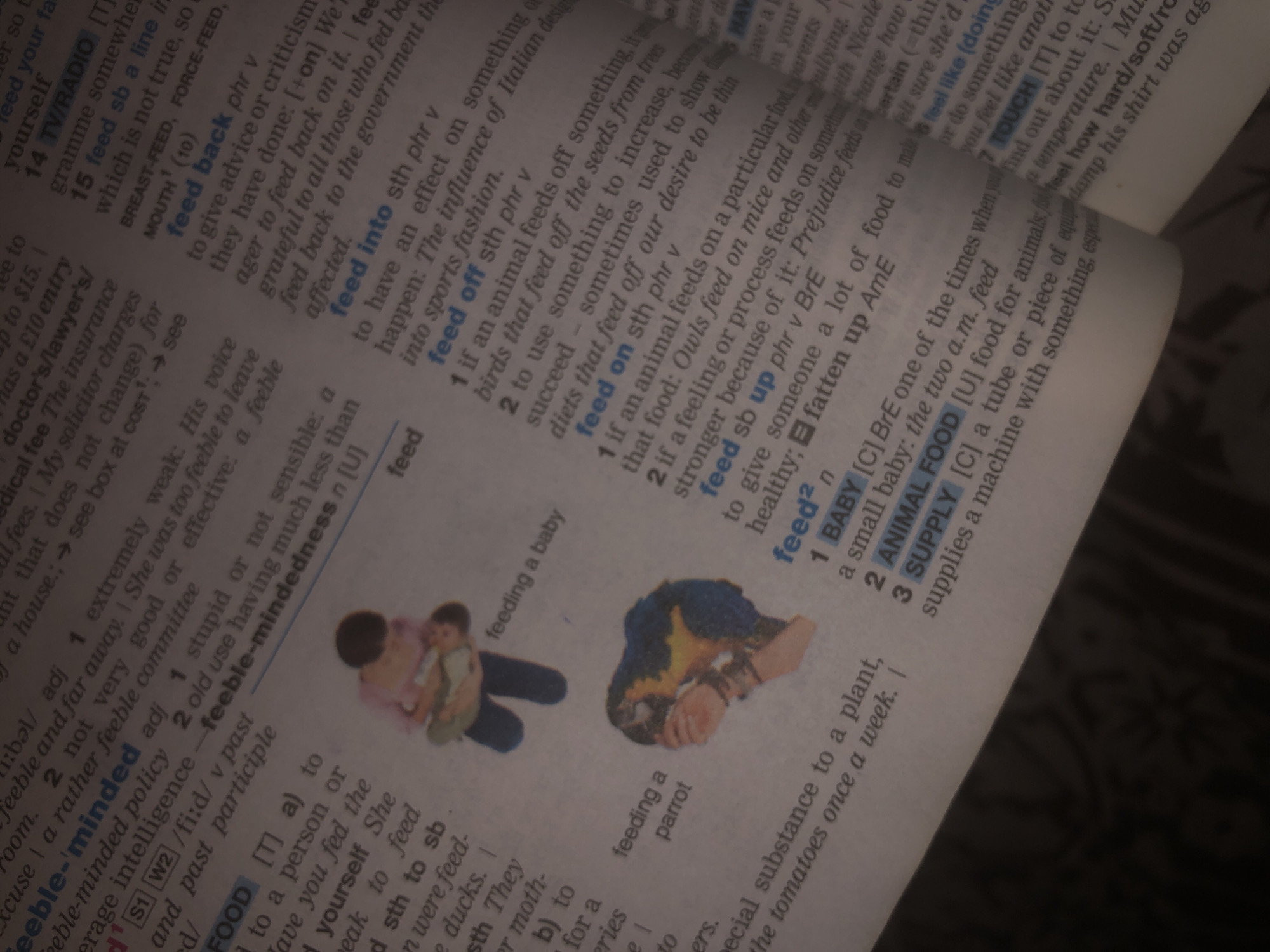 The image shows an open book, specifically a dictionary, with text and illustrations. On the left page, there is an illustration of a person feeding a baby and another illustration of a person feeding a parrot. The text discusses words like "feeble" and "feed". On the right page, the text continues with entries related to "feed", such as "feed back", "feed into", and "feed off". The overall environment appears to be an indoor setting with soft lighting. There is no discernible location in Jalingo, Nigeria.
