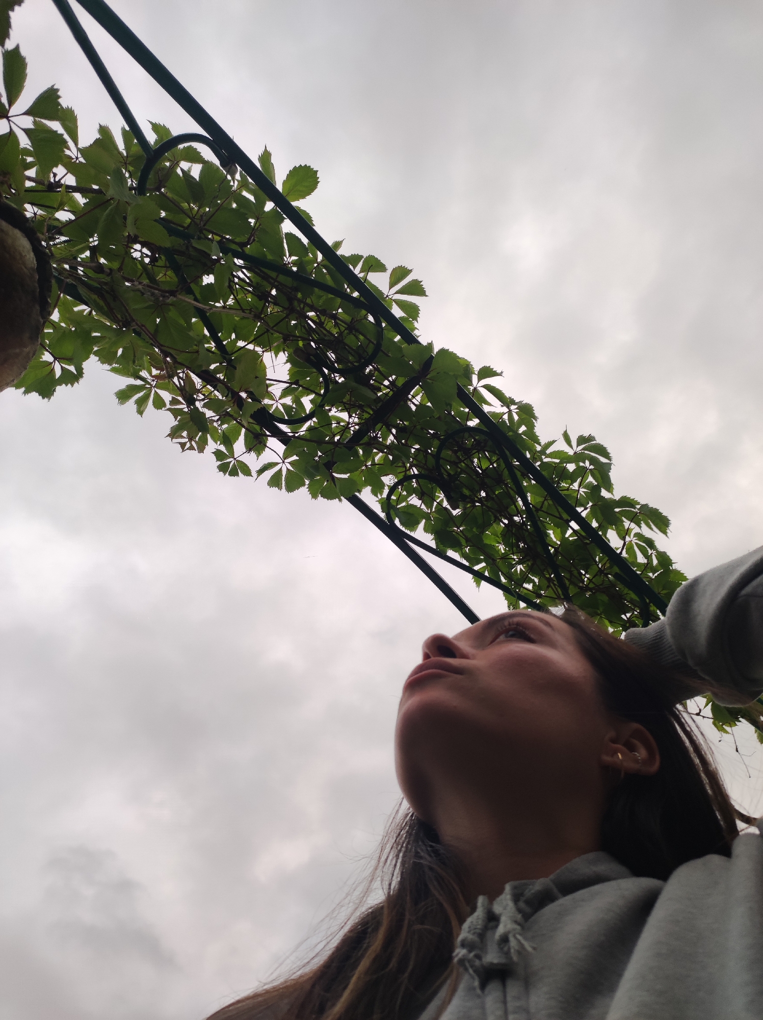 The image displays a low-angle perspective captured in the city of Фоки, Russia, featuring an individual positioned beneath an overhead structure against an overcast sky. In the lower right portion, the upper torso and head of a person, likely female, are visible in profile, looking upwards and slightly to the viewer's left. She wears a grey hooded sweatshirt, and her long, dark hair is visible. Small hoop earrings are present on her left ear. Directly above and extending across the upper and left parts of the frame, a dark green metal structure, resembling a pergola or trellis, is heavily covered with green vines featuring distinctly lobed or pentafoliate leaves. The entire background is an overcast sky, presenting a uniform light grey with indistinct cloud patterns, indicating diffused lighting conditions.