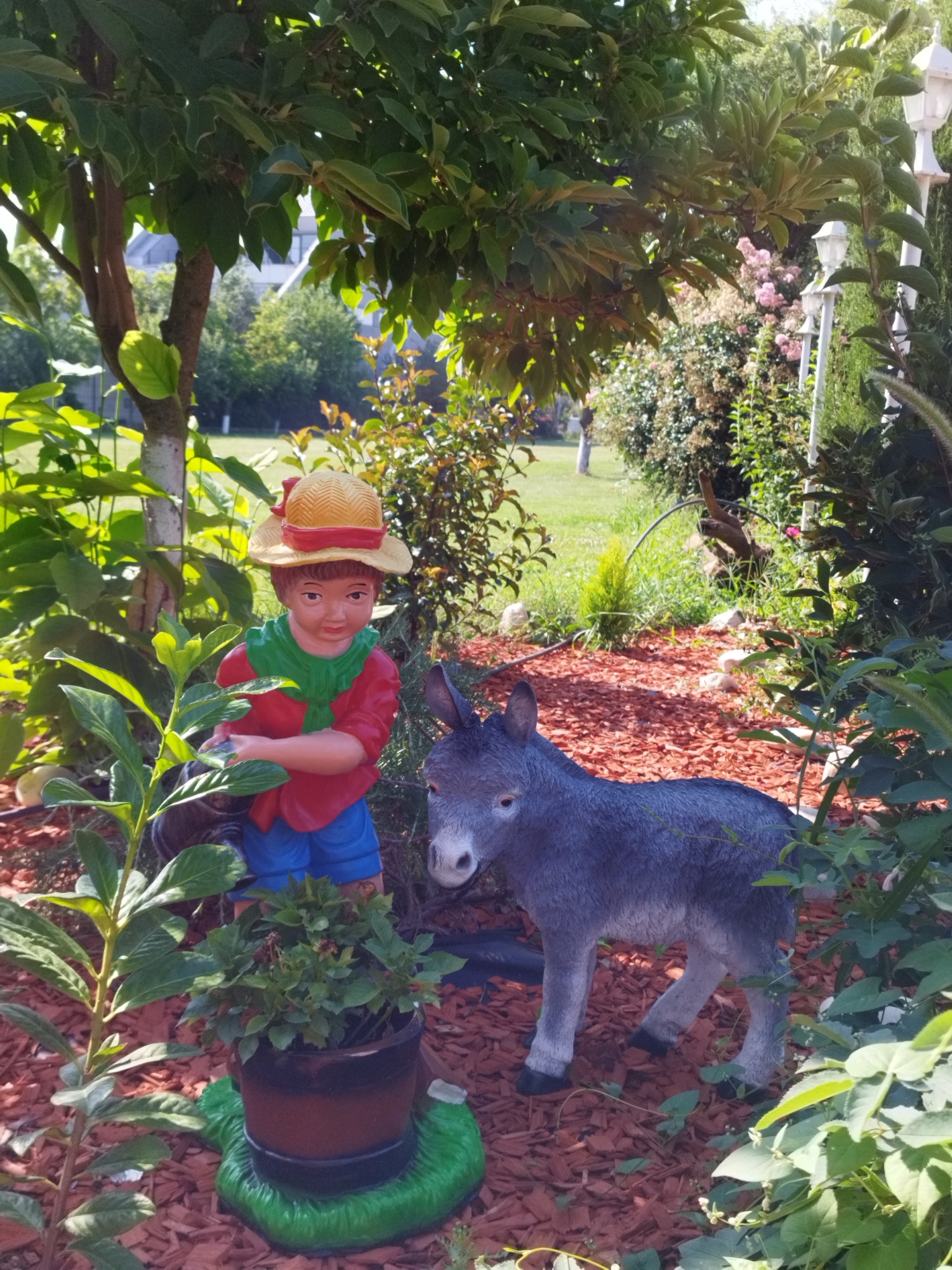 This image depicts a garden scene with two statues: a child and a donkey. The child statue is wearing a yellow straw hat with a red band, a red shirt, a green scarf, and blue shorts. The child is holding a watering can and stands next to a potted plant. The donkey statue is gray and positioned to the right of the child. Both statues are placed on a bed of red mulch. The background consists of lush green foliage, trees, and a lawn. There are also white lamp posts visible in the background. The scene appears to be a well-maintained garden, possibly in a residential area or park. This specific garden is located in Bucharest, Romania.