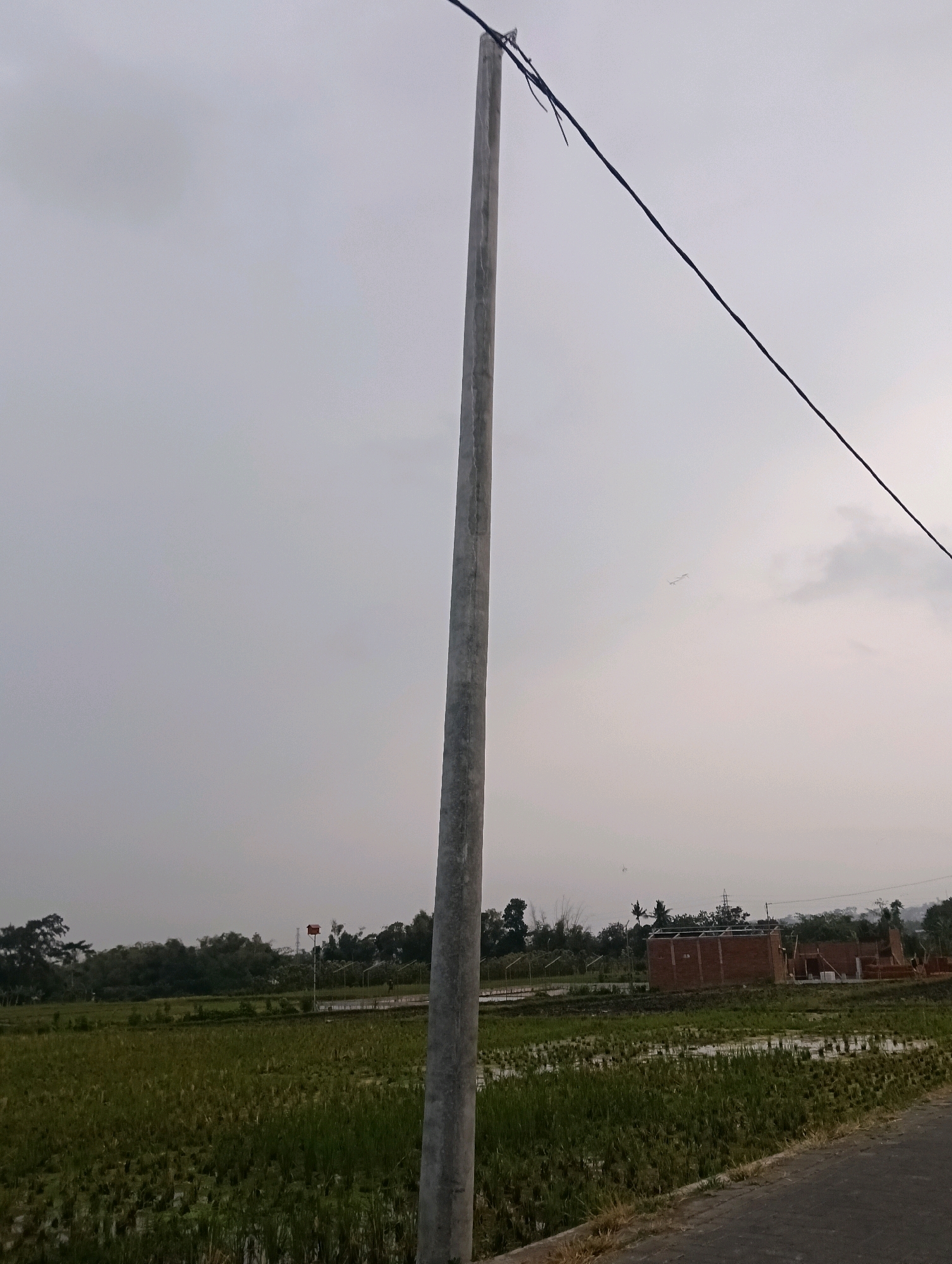 The image depicts an outdoor scene in Ampeldento, Indonesia, on a cloudy day. A tall, grey concrete utility pole stands prominently in the foreground, with a dark electrical wire extending diagonally across the sky from its top. The landscape features a rural setting with a flooded rice paddy in the mid-ground, showing lush green vegetation. In the background, a partially constructed brick building with visible framing is situated among trees. The sky is overcast, contributing to a subdued natural light. No people are visible in the frame.