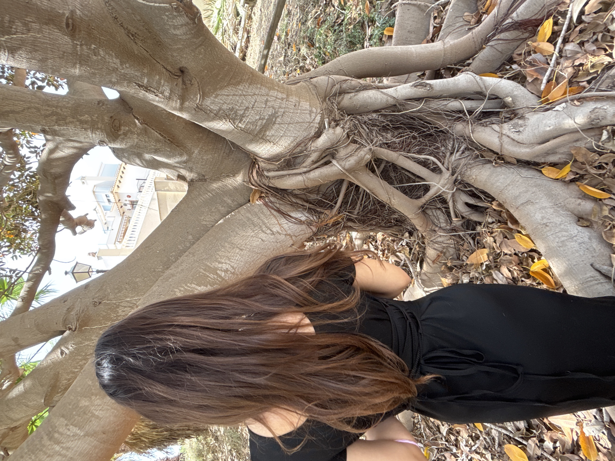 A person, viewed from behind, sits near the base of a large tree with exposed roots. The person has long, dark brown hair that extends down their back and is wearing a black dress. The tree's trunk and roots are a prominent feature of the scene, appearing aged and textured. Dried leaves are scattered around the base of the tree, suggesting an outdoor setting. The lighting suggests it is daytime, likely sunny due to the bright illumination in some areas. The image is oriented vertically. No visible text is present.