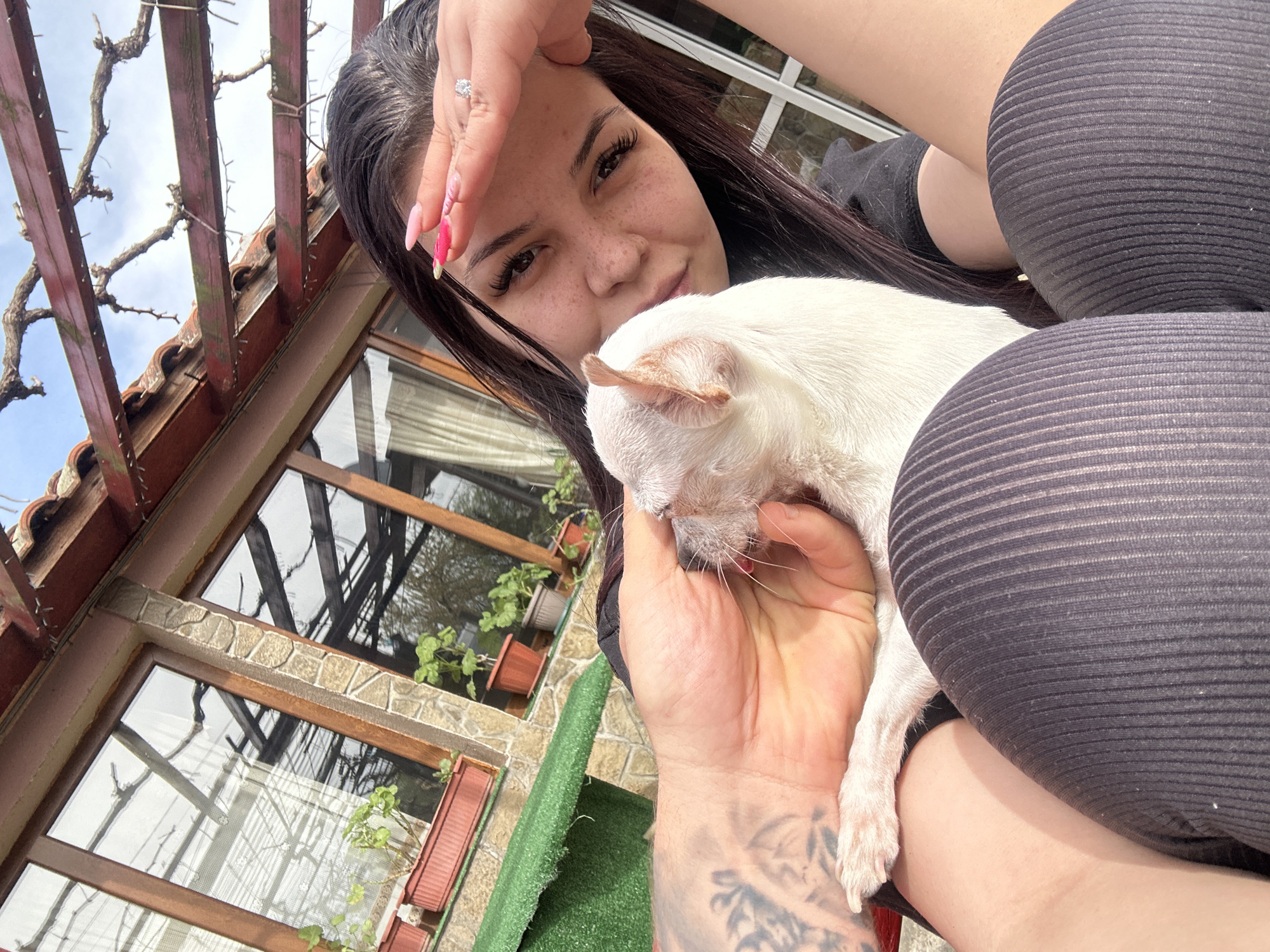 A young woman with dark hair and freckles is featured prominently, holding a small white dog in an outdoor setting. She looks directly at the camera with a calm expression and a slight smile. Her right hand, adorned with a ring and long pink and yellow ombre nails, is raised near her forehead. Her left forearm, which appears to be tattooed, cradles the small, white, short-haired dog, possibly a Chihuahua, which is looking downwards. The woman is wearing a dark, ribbed top and matching leggings, suggesting she is seated.
The background reveals a rustic outdoor environment under a wooden pergola with bare, gnarled branches growing over it. Above, a bright blue sky is visible, indicating clear weather during the daytime. To the left and below, parts of a building are seen, characterized by wooden-framed windows reflecting the sky and branches. Sections of the building feature decorative stone cladding and a terracotta tiled roof. Potted plants are visible on window ledges or hanging outside the windows. A patch of green artificial turf is also discernible, indicating a patio or garden area. The overall scene suggests a relaxed daytime moment in a setting like Skala, Bulgaria, likely during late winter or early spring given the bare branches on the pergola. There is no visible text in the image.