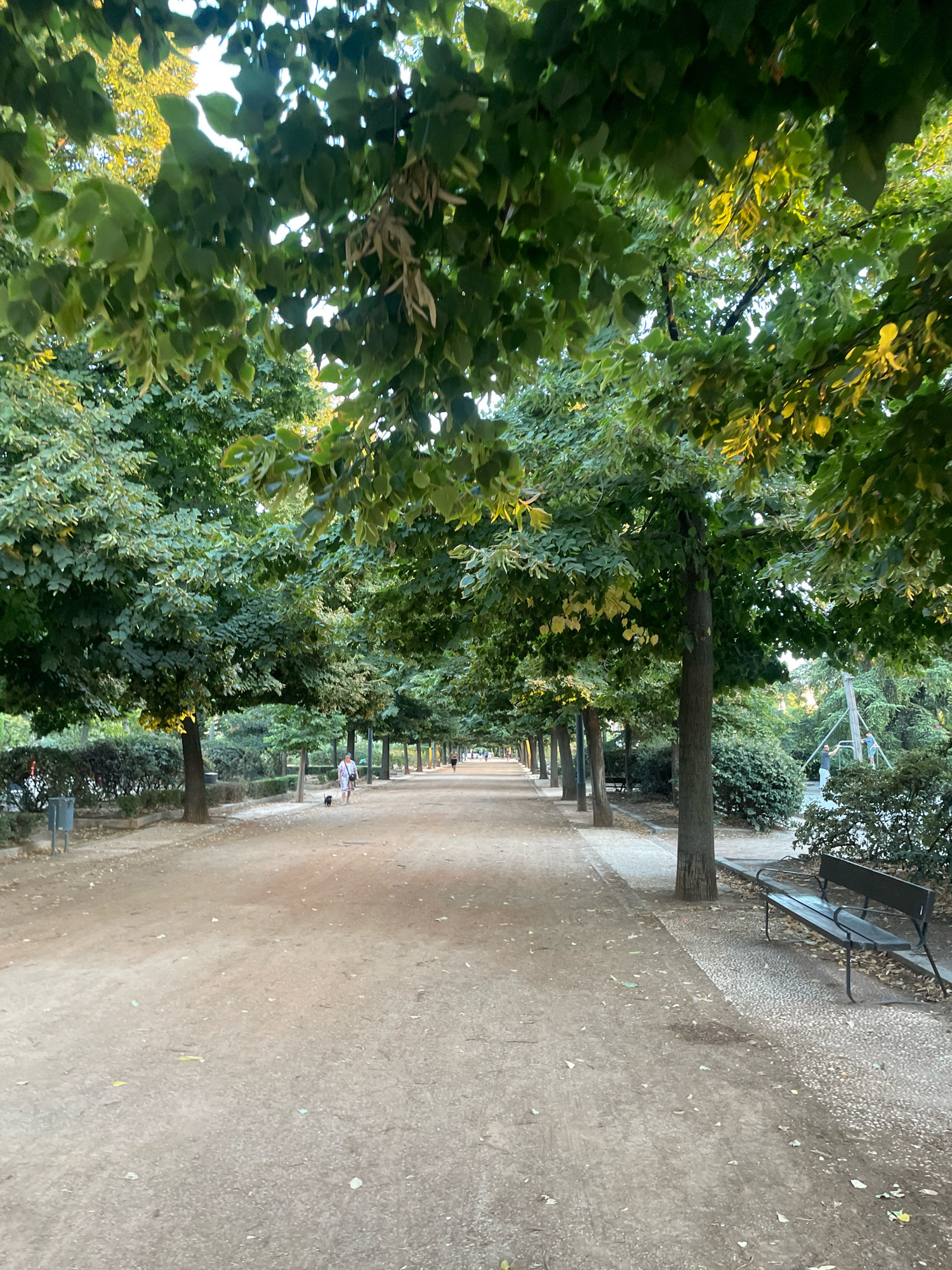 The image shows a tree-lined pathway in a park. The pathway is made of dirt and gravel, and there are benches along the side. A woman is walking her dog on the pathway in the distance. The trees are large and leafy, and they cast shadows on the pathway. The lighting suggests it is late afternoon or early evening. This scene is reminiscent of the Generalife gardens or the pathways within the Alhambra complex in Granada, Spain, known for their formal gardens and tree-lined promenades.