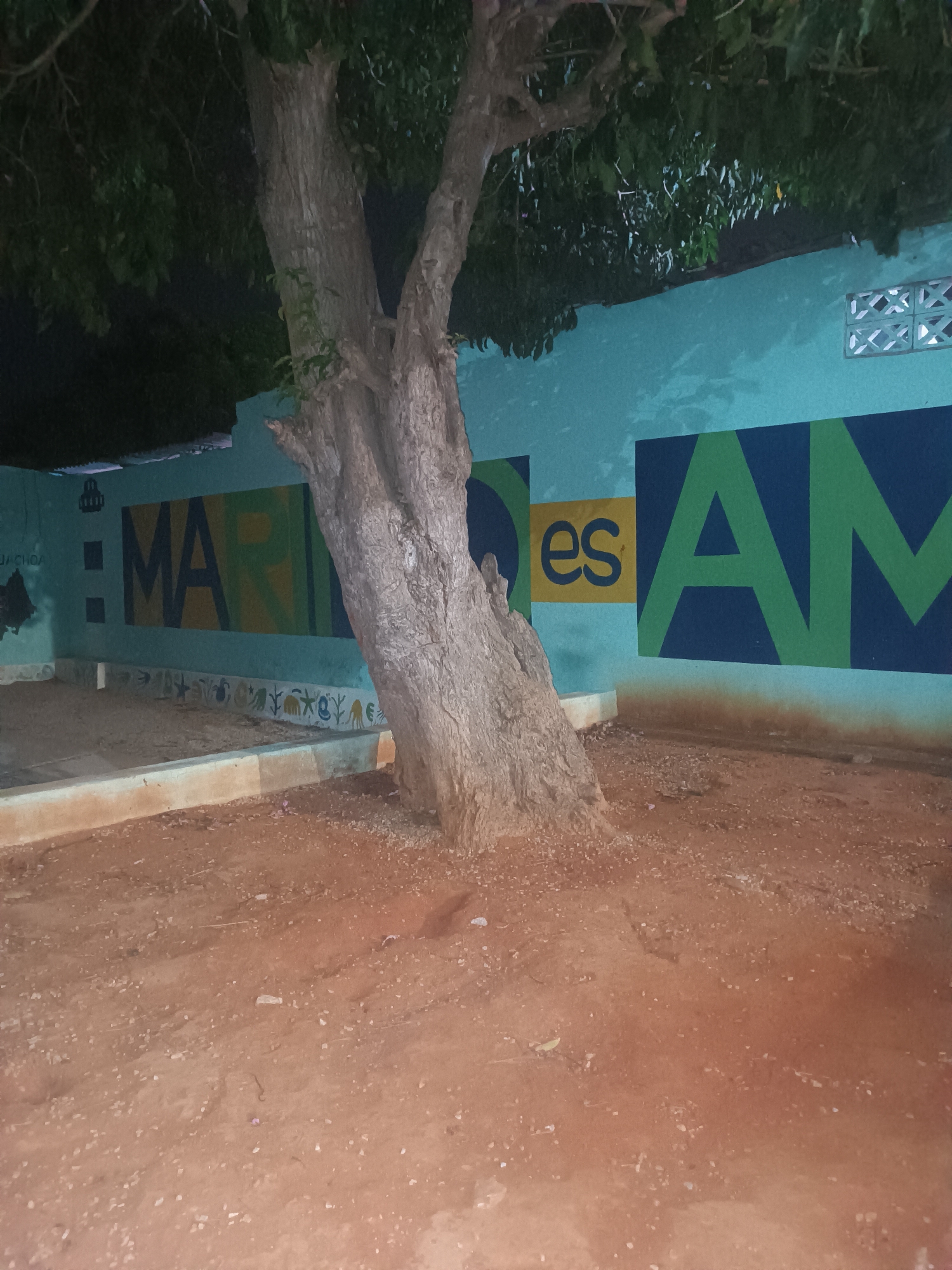 The image shows an outdoor scene in Porlamar, Venezuela, at night. A large, gray tree dominates the foreground, positioned in front of a light blue wall adorned with painted text and symbols. The text appears to read "MAR" and "es AM." The wall also has a lower section decorated with marine-themed artwork. To the left of the tree, there is a raised platform with light-colored sand inside. The ground is a reddish-brown dirt. The lighting is dim. No people are visible.