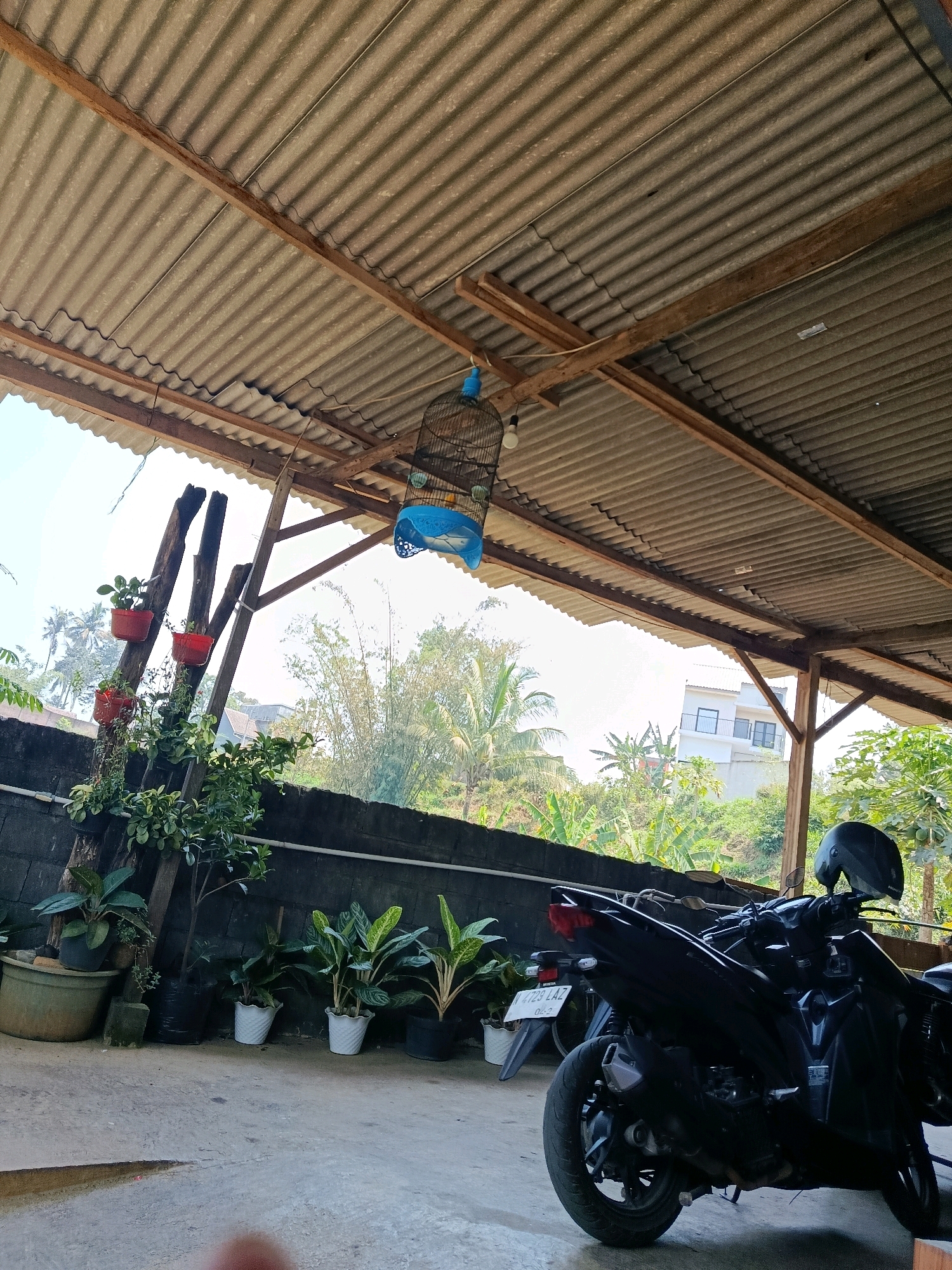 The image depicts an outdoor area under a corrugated metal roof supported by wooden beams. A birdcage containing birds is hanging from one of the beams. In the foreground, a black motorcycle with a helmet on its seat is parked on a concrete floor. To the left, several potted plants are arranged along a dark brick wall, with a wooden structure holding more potted plants and greenery. The background reveals a lush green landscape with trees and a building, suggesting a semi-rural or suburban setting. The scene appears to be located in Bululawang, Indonesia, given the presence of tropical vegetation and architectural styles common to the region. The lighting suggests it is daytime, possibly late morning or early afternoon.