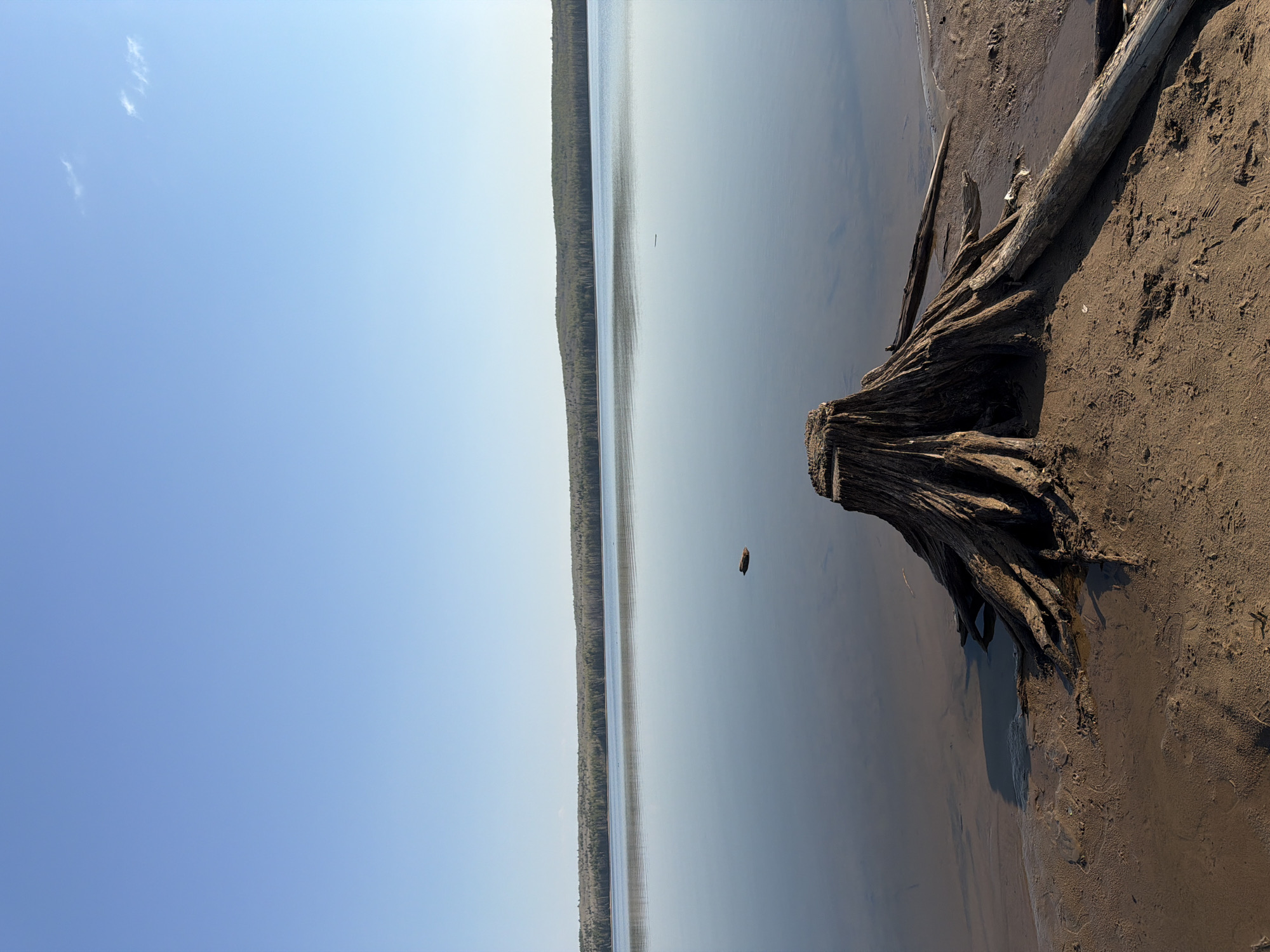 The image shows a waterfront scene in what appears to be a natural setting. A large tree stump with exposed roots sits on a sandy beach, extending partially into the water. A log rests on the sand nearby. The water stretches to the horizon, where a treeline is visible. A small dark object floats on the water. The sky is clear and blue.
While the prompt specifies the city of Chaikovsky, Russia, there is no information present in the image that confirms this location. Without additional information or landmarks identifiable in the image, it is impossible to verify the specific geographic location.