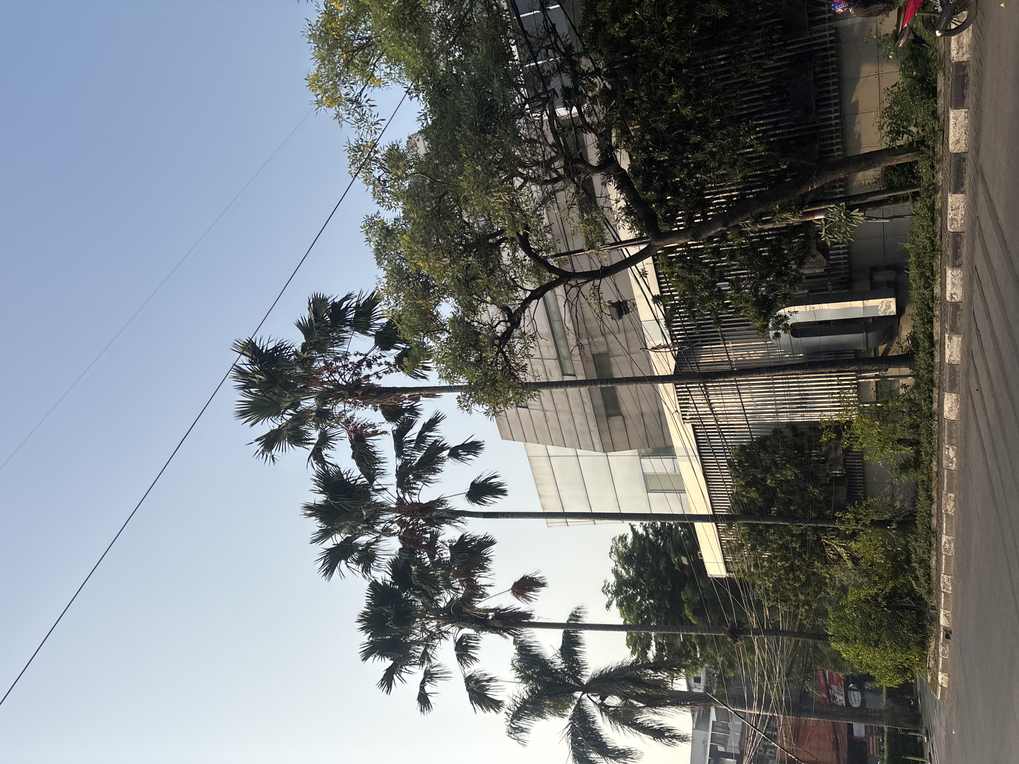 The image captures a street scene in West Jakarta, Indonesia, under a clear blue sky. In the foreground, a paved road with a distinct black and white curb is visible. Several palm trees, some with visible fruit, line the sidewalk. Behind the palm trees, a modern building with a geometric, light-colored facade stands tall. Its windows are dark and reflective, and it is partially obscured by lush green foliage. Electrical wires crisscross the sky, supported by poles. To the far right, a portion of a red motorcycle is parked. The overall impression is one of an urban environment with tropical vegetation.