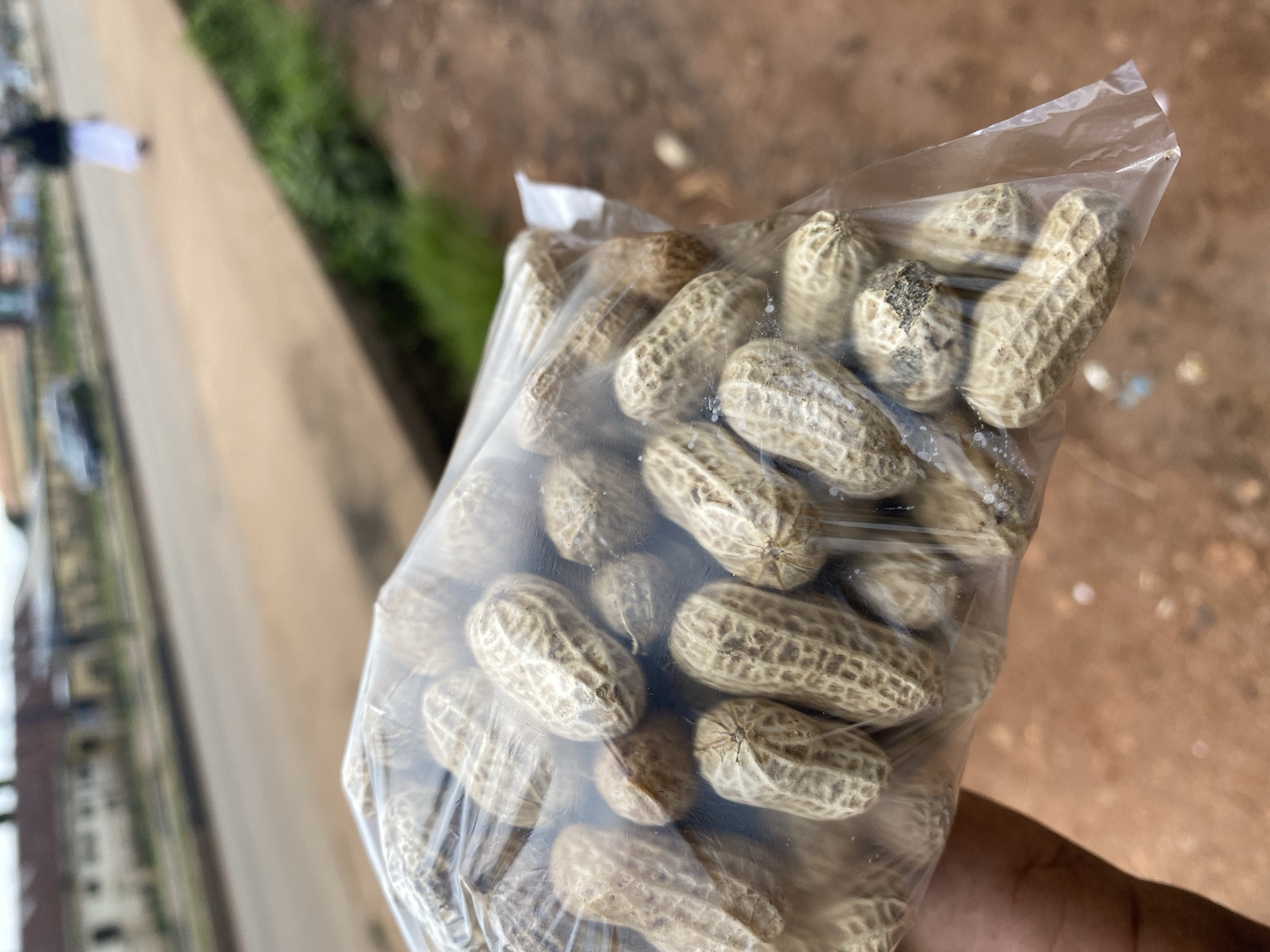 A close-up, waist-level shot captures a hand holding a clear plastic bag filled with peanuts. The peanuts are in their shells, exhibiting a rough, textured surface with a light brown hue and darker brown net-like markings. The bag is slightly crinkled, revealing the density of the peanuts within. In the background, a blurred street scene unfolds. A paved road stretches into the distance, bordered by a low concrete wall and overgrown green grass on the right. Beyond the road, indistinct buildings with reddish-brown roofs are visible. A person in a white garment and dark head covering walks away from the camera on the right side of the road, and a dark car is parked on the left. The ground in the foreground appears to be a reddish-brown dirt or clay. The lighting suggests an overcast day. The overall impression is one of an everyday street scene in a Nigerian city, possibly Gura Top, given the context of the provided information.