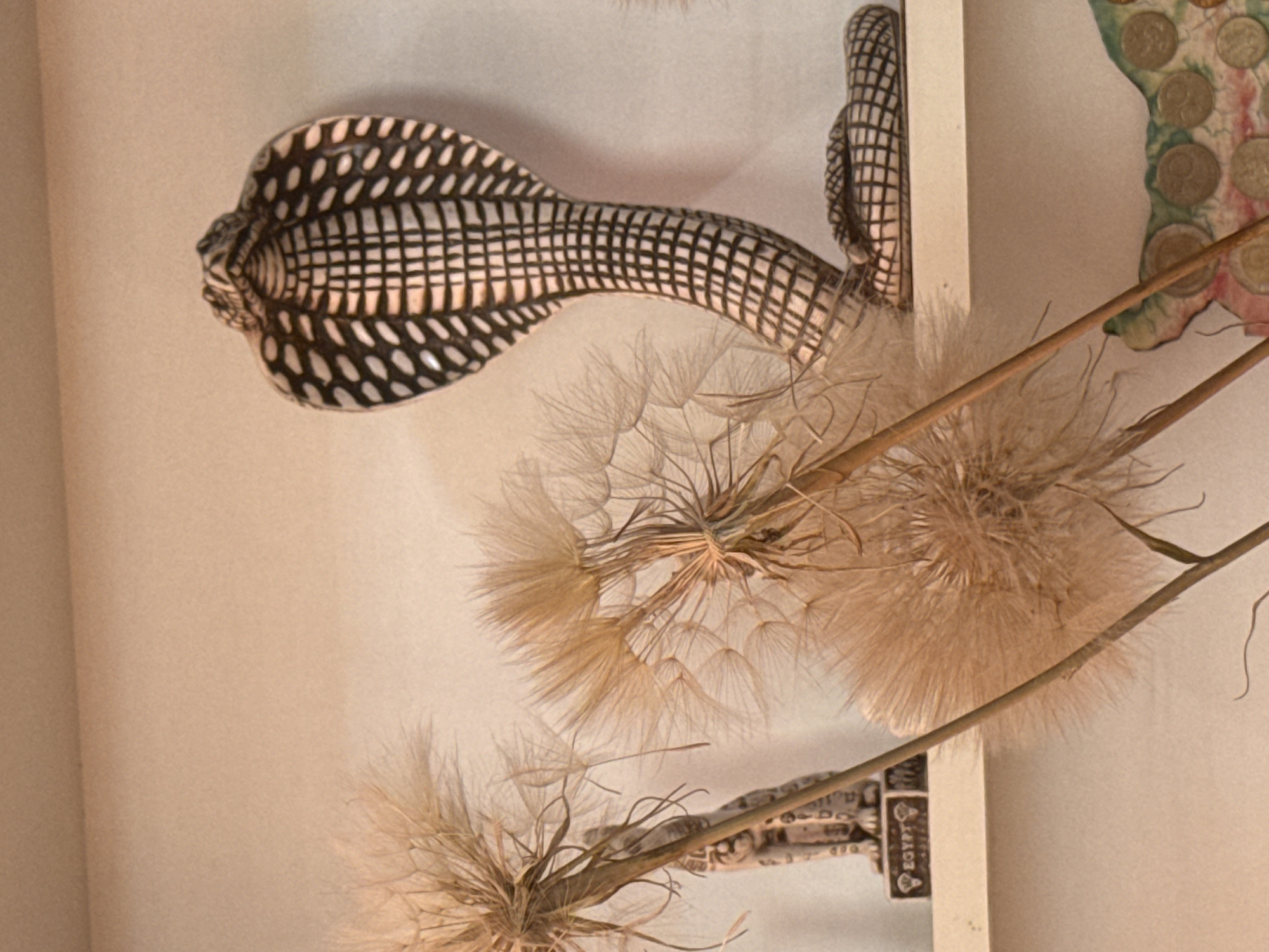 The image shows a shelf with several decorative items. On the right side, there is a ceramic figurine of a cobra, detailed with a black and white patterned hood and body. To the left of the cobra, there are several large, dried seed pods from a plant resembling a dandelion, with fluffy white seeds. In front of the seed pods and to the left, a small, light-colored figurine of an Egyptian cat-like deity is visible. The figurines and seed pods are arranged on a white shelf against a light beige wall. The bottom of the image shows a colorful, map-shaped decorative item with several coins embedded in it. There are no people or animals present in the image, and no actions or interactions are depicted. The location is stated as a city in Montana, Bulgaria.