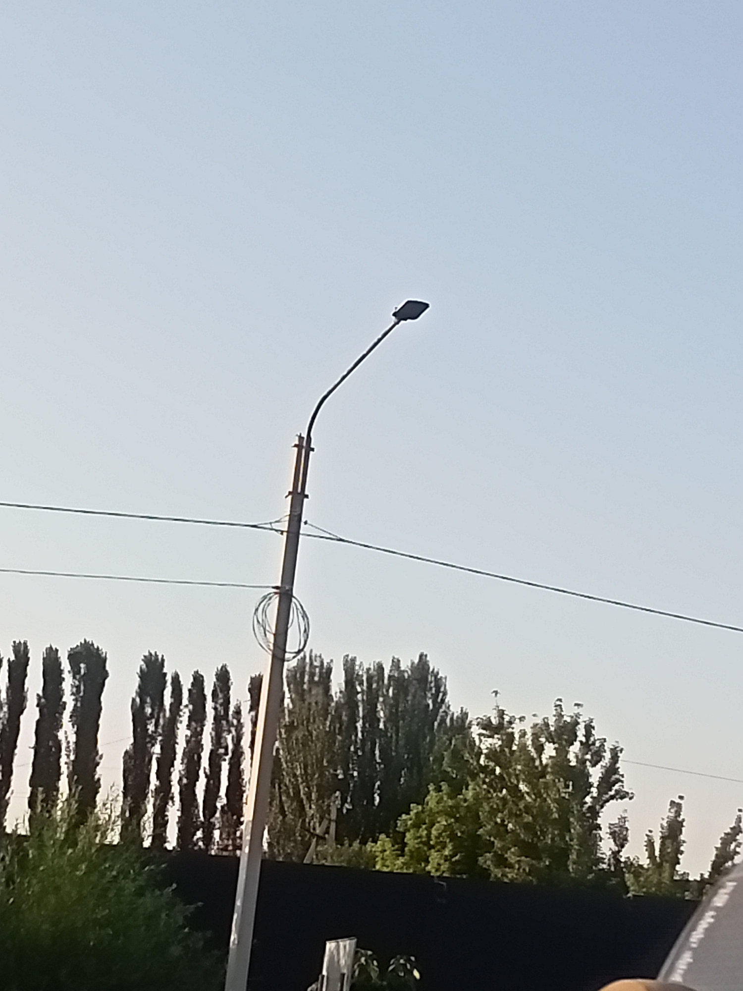 The image shows a street light against a clear sky. The street light is on a pole with some coiled wire attached near the bottom. Power lines are visible crossing the frame horizontally. In the background, there is a line of tall, slender trees and some other greenery, possibly a hedge or bush, in the foreground. The overall scene suggests an outdoor urban or suburban environment. The specific location within Sokuluk, Kyrgyzstan, is not evident from the visual information.