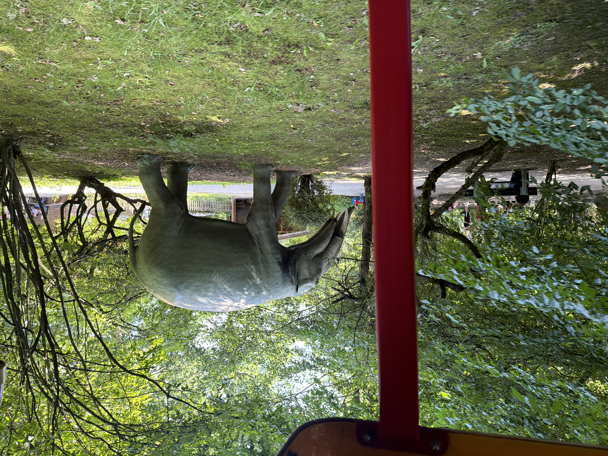 The image, taken in Tolk, Germany, shows a gray, life-sized elephant sculpture placed in a grassy, wooded area. The sculpture is positioned on its side, as if it has fallen. In the foreground, a red pole and a yellow-painted metal structure are visible, suggesting the image might have been taken from a train or other form of transportation. The background is filled with lush green trees and foliage, indicating a sunny day and possibly springtime or summer. Sunlight filters through the leaves, creating dappled shadows on the ground. A white picket fence and some wooden structures are partially visible behind the elephant sculpture, hinting at a park or zoo setting. No people are clearly visible in the image. The overall scene depicts a whimsical or perhaps slightly melancholic artistic installation within a natural environment. The elephant's pose is unusual and draws attention.