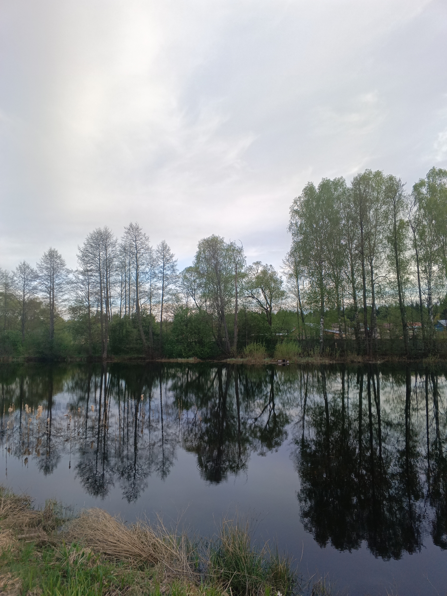 A landscape photograph shows a body of water with trees along the bank reflecting in the water. The water is still and dark, creating a clear reflection of the trees. The trees vary in species and are reflected upside down in the water. On the bank, there is dry grass and some green vegetation. The sky above is overcast. The location is Красный Маяк, Russia.