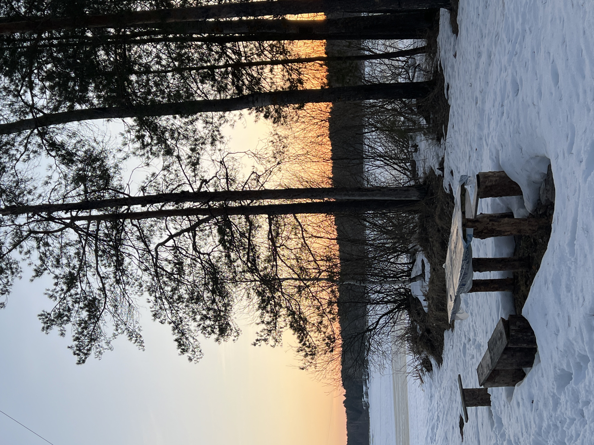The image shows a snow-covered landscape in what appears to be a wooded area near the city of Chaykovsky, Russia. Tall, thin trees are silhouetted against a yellow and orange sky, possibly indicating sunset or sunrise. To the right, a wooden picnic table and benches are partially buried in the snow. The ground is covered in snow. The overall impression is a quiet, wintry scene.