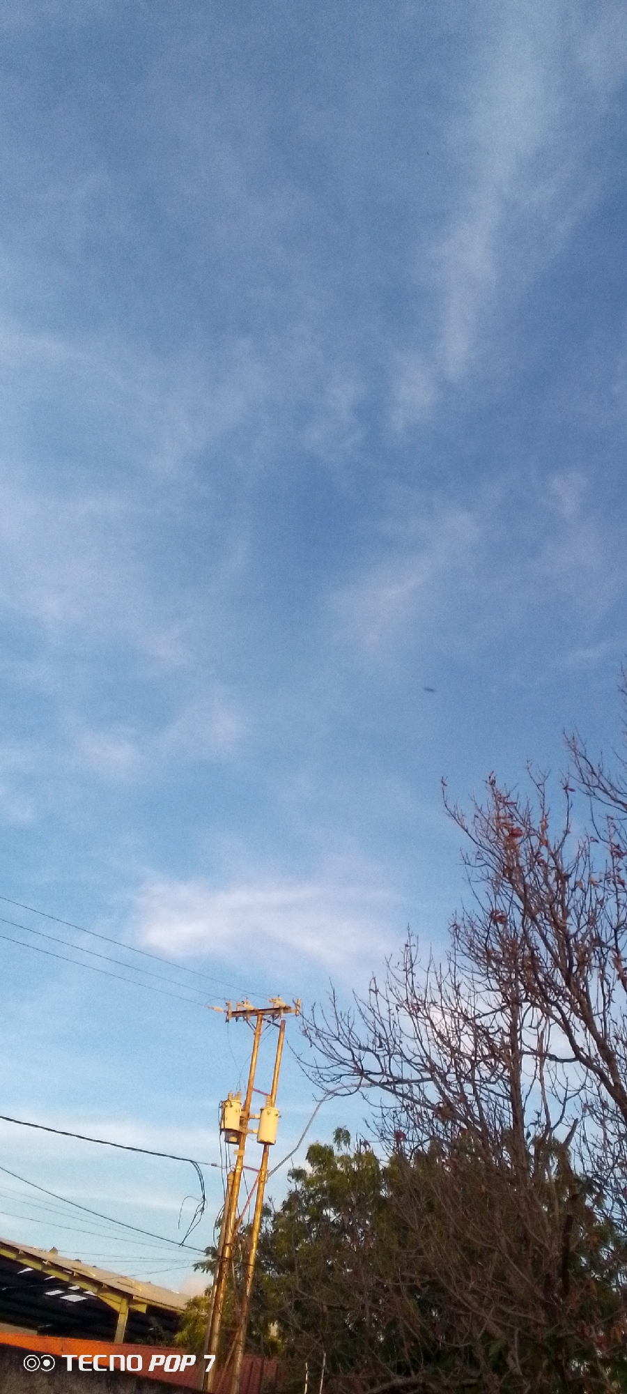 The image captures an upward view of a bright blue sky, characterized by thin, wispy white clouds scattered across the expanse, suggesting fair weather. In the lower left and center, a prominent yellowish utility pole stands tall, fitted with two transformers and multiple black power lines that stretch horizontally across the frame. Some power lines appear to be loose or dangling.
To the right, a large deciduous tree with mostly bare, intricate branches and a few reddish leaves occupies a significant portion of the frame, reaching towards the top right corner. Behind the utility pole and the bare tree, dense clusters of lush green trees are visible, providing a verdant backdrop. In the bottom left corner, the edge of a dark-colored roof or building structure is partially visible. A small, dark speck is discernible in the middle-right area of the sky, likely a distant bird or an insect.
The warm, soft lighting on the utility pole indicates either an early morning or late afternoon setting. The scene depicts a common outdoor environment in Altagracia, Venezuela, blending urban infrastructure with natural elements. In the bottom left corner of the image, the text "◎◎ TECNO POP 7" is visible, identifying the device used to capture the photograph.