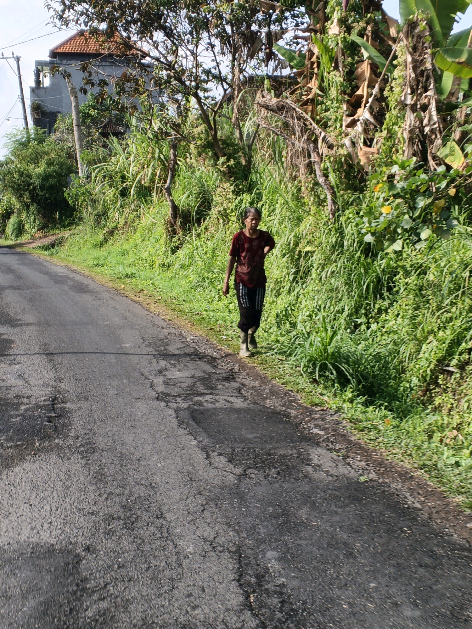 A middle-aged woman with dark hair and wrinkled skin walks along the edge of a cracked asphalt road in Penebel, Indonesia. She is wearing a dark red, patterned t-shirt and black pants with white stripes. Her left hand is on her hip. She has on light-colored boots. The road is bordered by lush, green vegetation, including tall grasses, banana trees, and other tropical plants. In the background, a multi-story building with a red-tiled roof and balconies can be seen peeking through the foliage. The sky is overcast.
