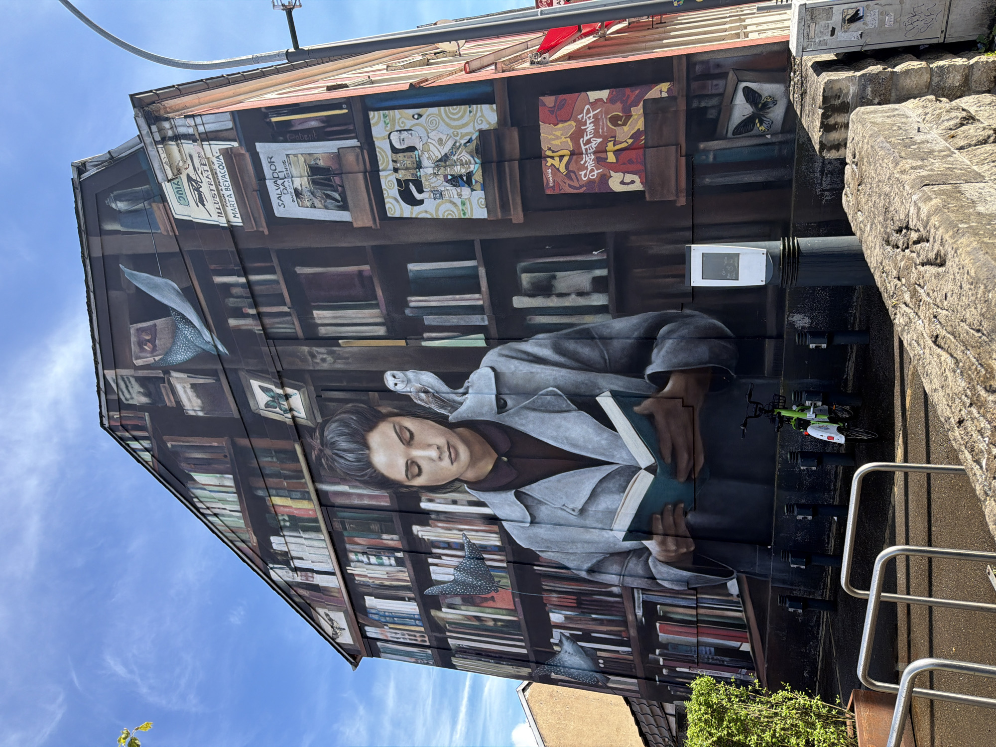 The image shows a mural in Esch-sur-Alzette, Luxembourg, painted on the side of a building. The mural depicts a woman with dark hair and a grey coat reading a book. An owl is perched on her shoulder, and two manta ray-like creatures with the same texture as the owl fly around her. The background is a bookshelf filled with books and various objects. Some book covers are visible, including "2016", "ILLUSTRATED FROM A PICTURE OF MARTA BEVACQUA", "Salvador Dali DIARY OF A GENIUS", and "Patient". Other books display Japanese text and a drawing of a woman in a kimono. The mural occupies the entire side of the building. To the right of the mural, there is a concrete wall and a silver railing. A green and white bicycle is parked nearby. The sky is blue with light clouds.