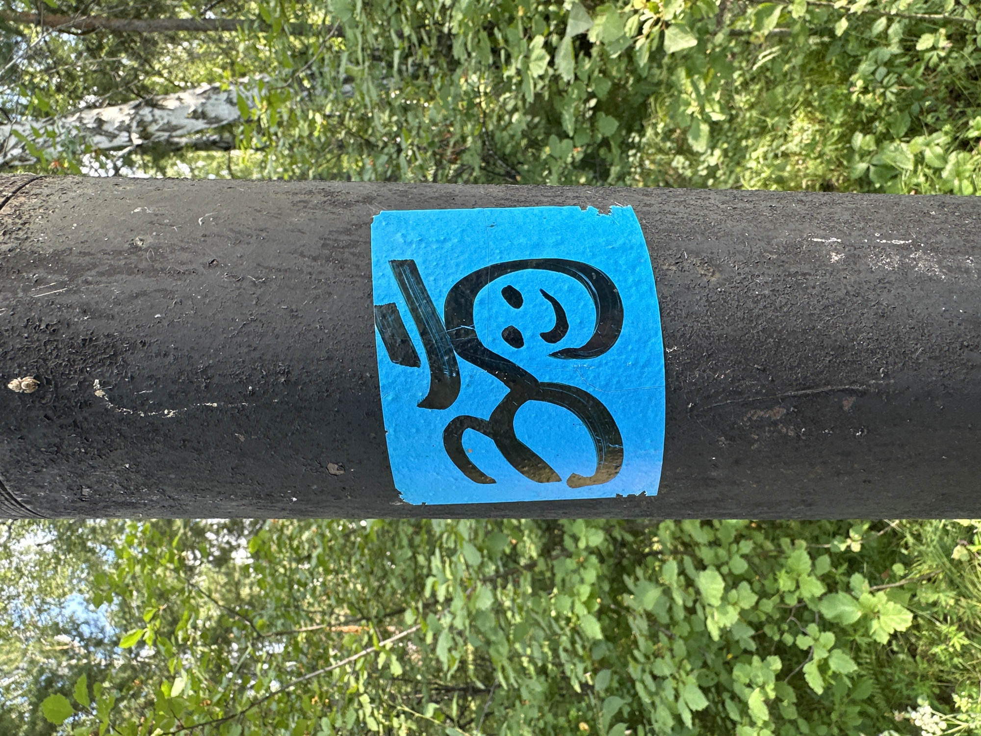 A black, textured utility pole stands in a forest environment, possibly on the outskirts of Krasnoyarka, Russia, given the presence of deciduous trees and foliage. A bright blue sticker with a black Om symbol and a smiley face is affixed to the front of the pole. The Om symbol, a sacred sound and spiritual icon in Dharmic religions, is rendered in a stylized, bold black line. Below it, a simple smiley face with two oval eyes and a curved smile is depicted. The sticker appears slightly weathered, with some peeling at the edges. The background is filled with lush green leaves and branches, indicating a natural setting with abundant vegetation. The lighting suggests it is daytime, with sunlight filtering through the trees, creating dappled shadows.