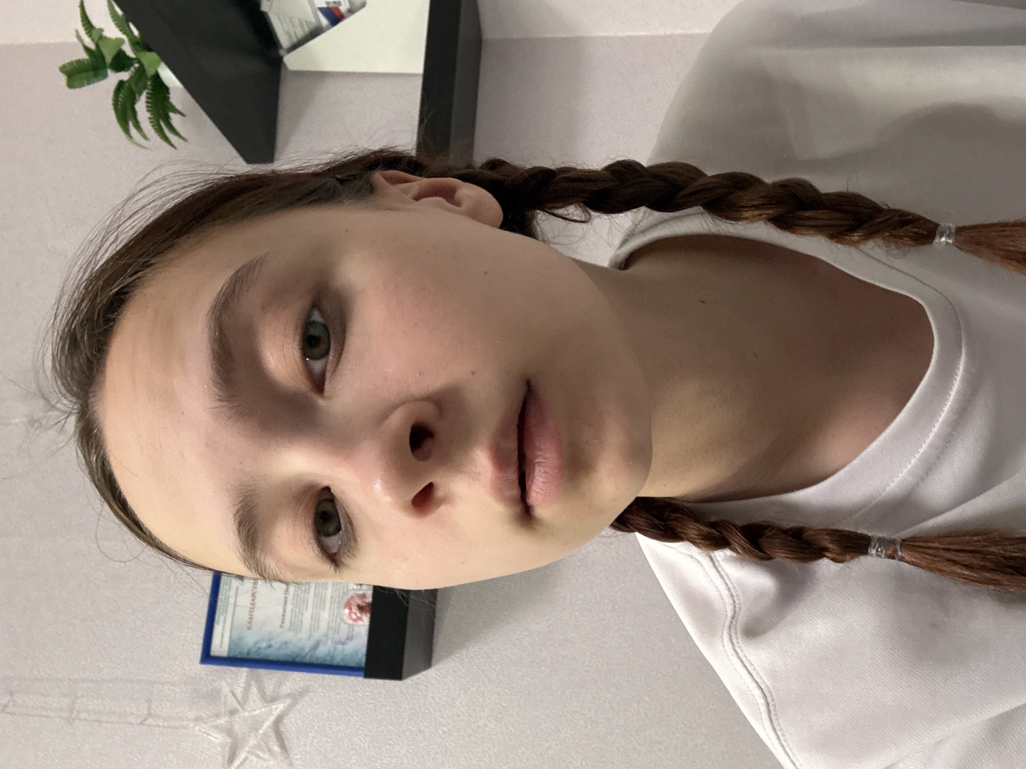 A young person with light skin and braided brown hair is shown in a close-up, slightly tilted shot. The person wears a white t-shirt. Their hair is tied off at the end of the braids with clear hair ties. The background is a light wall with various objects visible, including a black shelf with a green plant, and a framed document. The location is suggested to be Прикамский, Russia.
