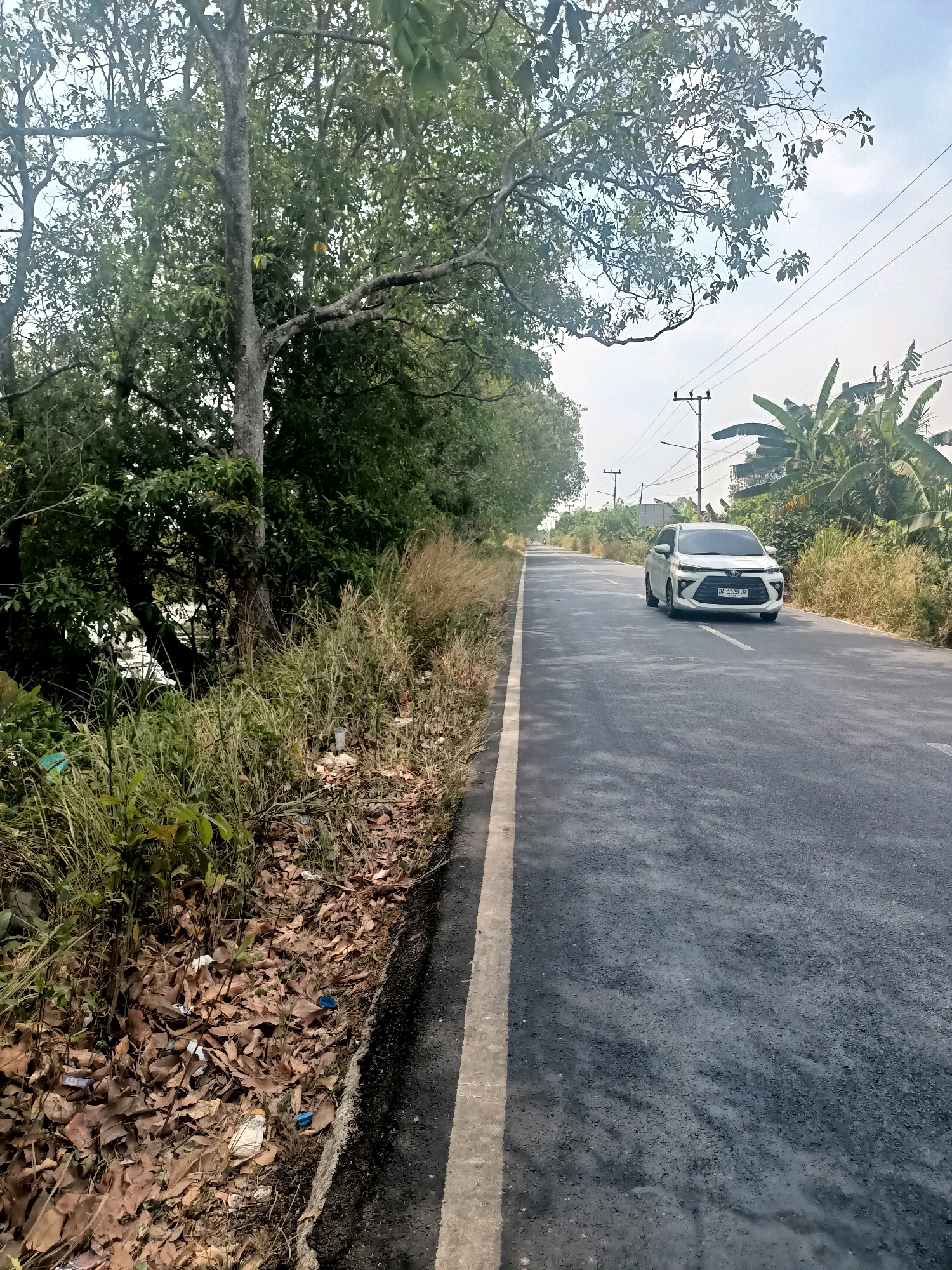 A white SUV is captured in motion on a paved road in Sungai Rutas Hulu, Indonesia. The car, a Toyota Avanza with license plate DA 1625 JA, is heading away from the camera, positioned in the right lane. The road itself is asphalt, marked with a white line on the left edge, and appears to have been recently paved or resurfaced in places, evidenced by patches of darker asphalt.
The environment surrounding the road is characterized by lush, dense vegetation. Tall trees, some with large leaves, line the left side of the road, casting shadows. The ground adjacent to the road on the left is covered with dry leaves, dry grass, and scattered debris, including plastic bottles and wrappers, suggesting it is a roadside area that is not regularly maintained. On the right side of the road, tall grasses and banana trees are visible, with power lines and utility poles extending into the background. The sky is overcast with a hint of blue. The overall scene depicts a rural or semi-rural setting on a day with moderate natural light.