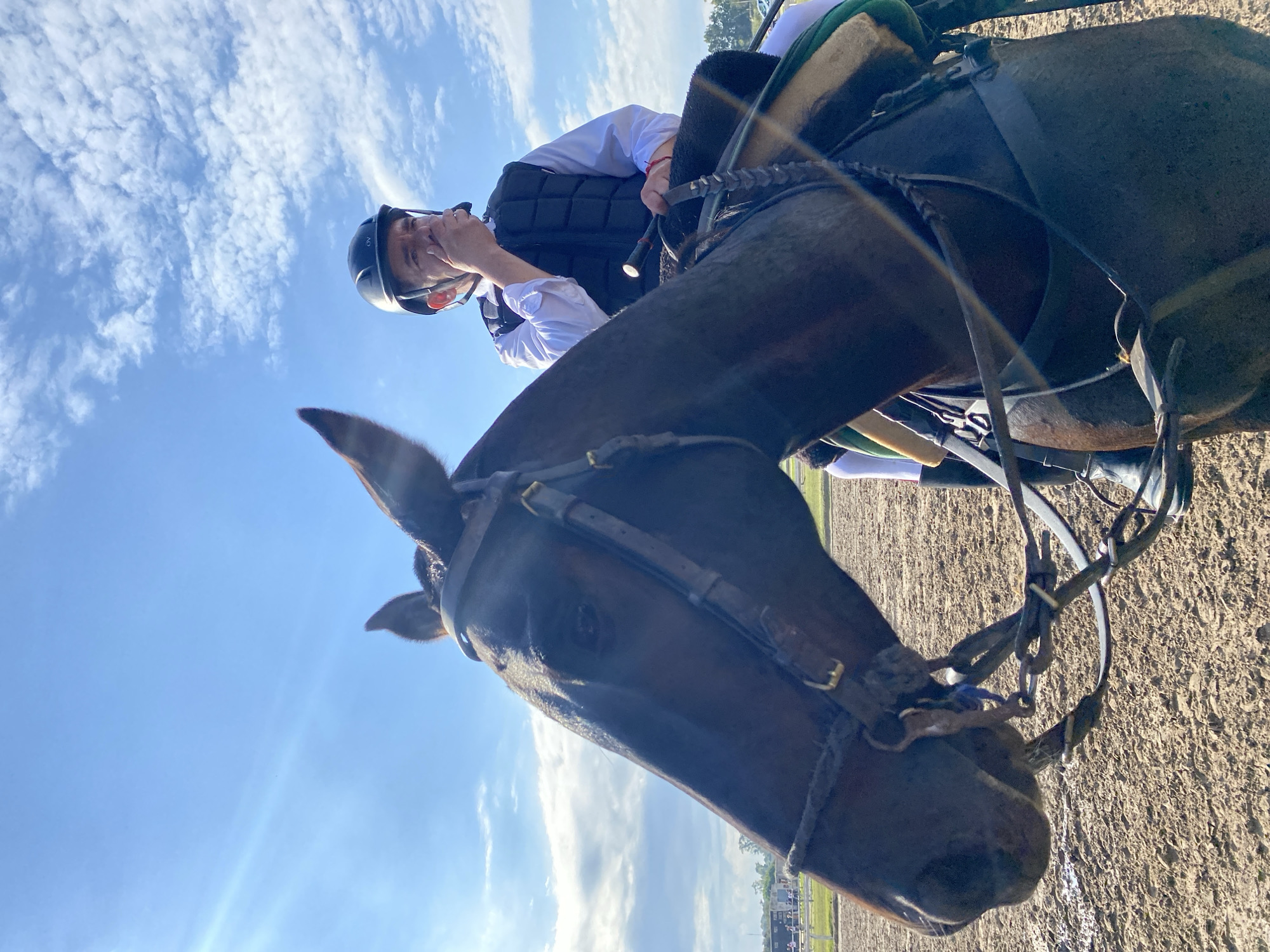 This image, taken in Buenos Aires, Argentina, captures a low-angle perspective of a horse and its rider against a bright, cloudy sky. The rider, seen from the chest up, is wearing a white long-sleeved shirt, a black protective vest, and a black helmet, which has the number "3" visible on its side. Their right hand is raised towards their face, suggesting they might be adjusting their helmet, wiping their face, or simply in a pensive pose.
The head and neck of a dark brown horse occupy a significant portion of the foreground, equipped with a bridle and reins. The image's perspective looks up towards the horse and rider, silhouetting them slightly against the vivid blue sky dotted with scattered white clouds, indicating a clear, sunny day, likely morning or late afternoon. The ground beneath the horse, appearing dusty or sandy, is visible, along with distant structures and fences that suggest an outdoor equestrian track or arena. The scene conveys a moment of calm or preparation, possibly before or after a race or training session.