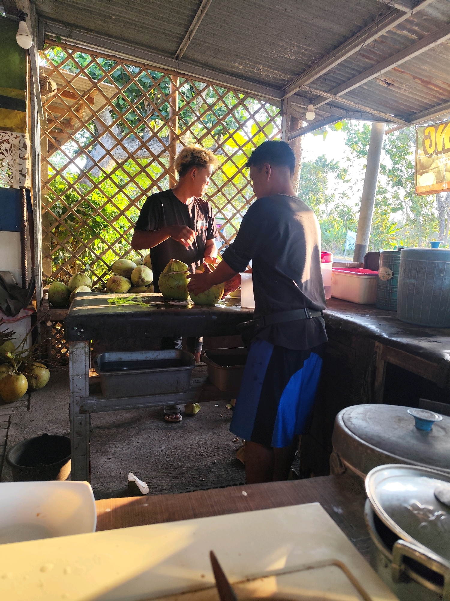 In a rustic outdoor stall, likely in Bambanglipuro, Indonesia, two men are engaged in preparing coconuts. One man, with blond-tipped hair, stands to the left, wearing a dark t-shirt and focusing on a coconut. To his right, another man, wearing a dark t-shirt and blue shorts, is actively cutting a coconut, his hands obscured by the fruit. A long, dark table, possibly metal, is positioned in front of them, laden with numerous green coconuts. Underneath the table, a rectangular metal basin is visible. The stall itself is open-air, with a corrugated metal roof supported by a metal frame. The background features a woven bamboo wall, allowing sunlight to filter through, illuminating lush green foliage and trees. The overall impression is that of a roadside vendor preparing fresh coconuts for sale.