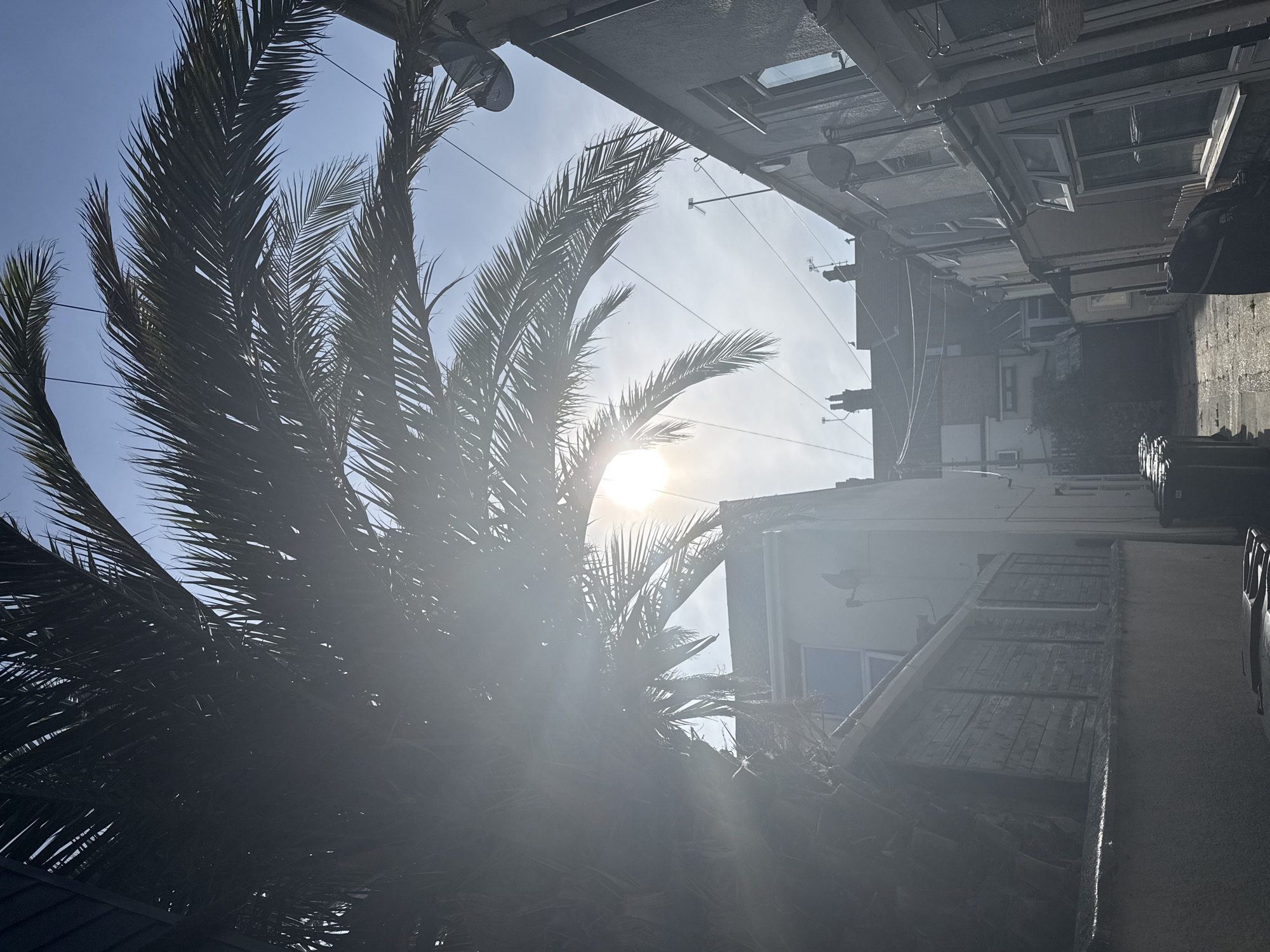 A low-angle, medium shot captures a sun-drenched alleyway in Great Yarmouth, United Kingdom. The foreground is dominated by the fronds of a large palm tree, its dark silhouette stark against the bright sky and the sun, which is partially obscured by the foliage, creating lens flare.
The alley is flanked by the rear of terraced houses. On the left, a pale rendered wall with a wooden fence on top runs along the side of a building, partially shadowed by the palm tree. The building itself appears light-colored with at least one window visible.
The right side of the alley is lined with more terraced houses, their light-colored rendered walls and windows clearly visible. Satellite dishes are mounted on the walls of several properties.
The ground of the alley is paved, with sunlight casting shadows and highlighting the texture of the surface. Several dark-colored wheelie bins are lined up along the left side of the alley, and one dark object, possibly a bin or a storage container, is present on the right. In the background, the alley recedes, showing more houses with chimneys and aerials, suggesting a densely populated residential area. The sky is a clear light blue, with some wispy clouds present. The overall impression is of a bright, sunny day in an urban setting, with a touch of tropical flora.