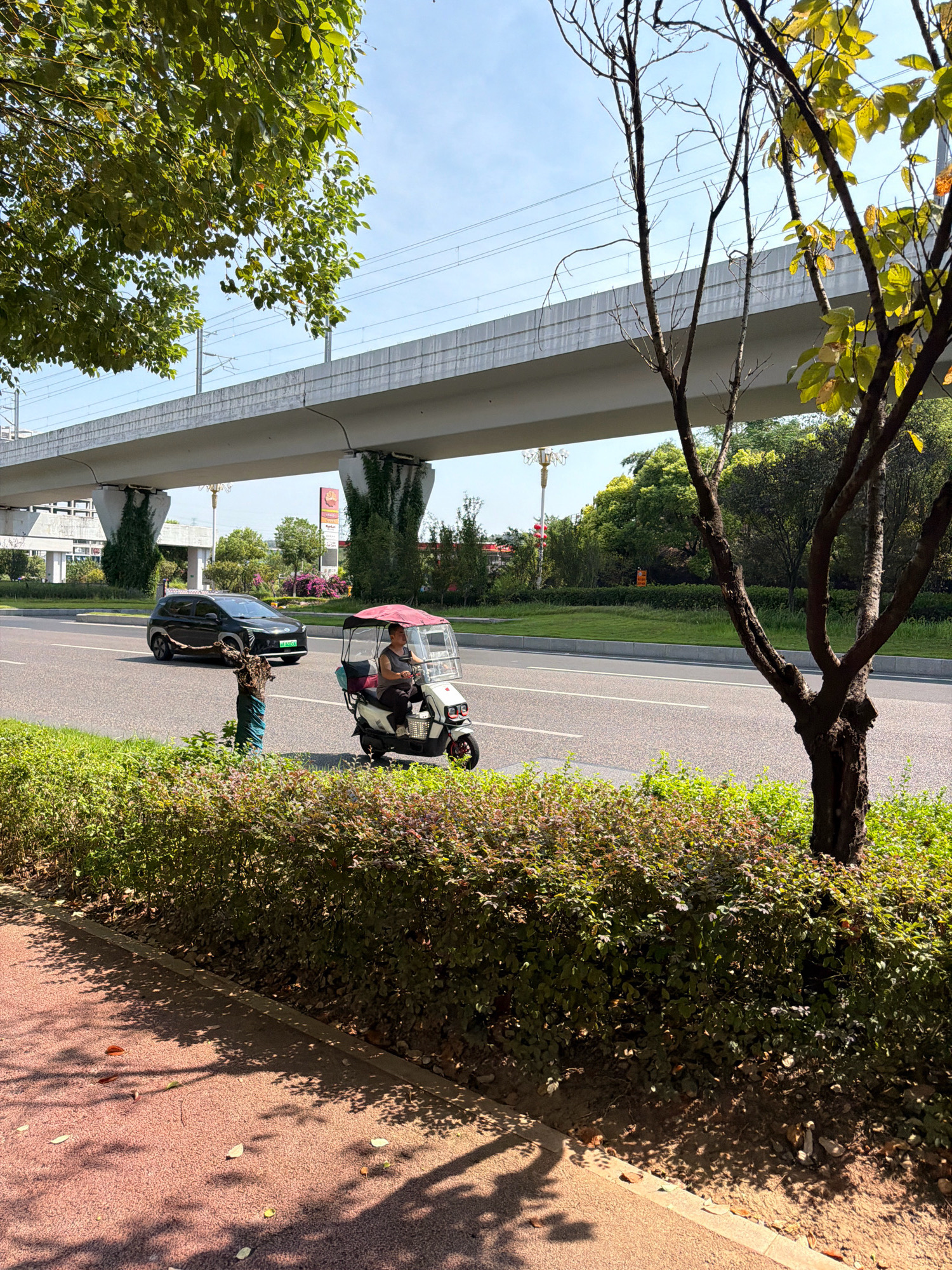 In Jiangjin, China, on a sunny day, a black SUV is driving on a paved road beneath an elevated structure, likely a railway or highway overpass. To the right of the SUV, a person is operating a three-wheeled electric vehicle with a canopy. The road is bordered by a well-maintained green hedge. In the foreground, a reddish pathway with scattered leaves is visible, partially covered by dappled sunlight and shadows from a nearby tree. The environment suggests a suburban or semi-urban setting with clear blue skies.