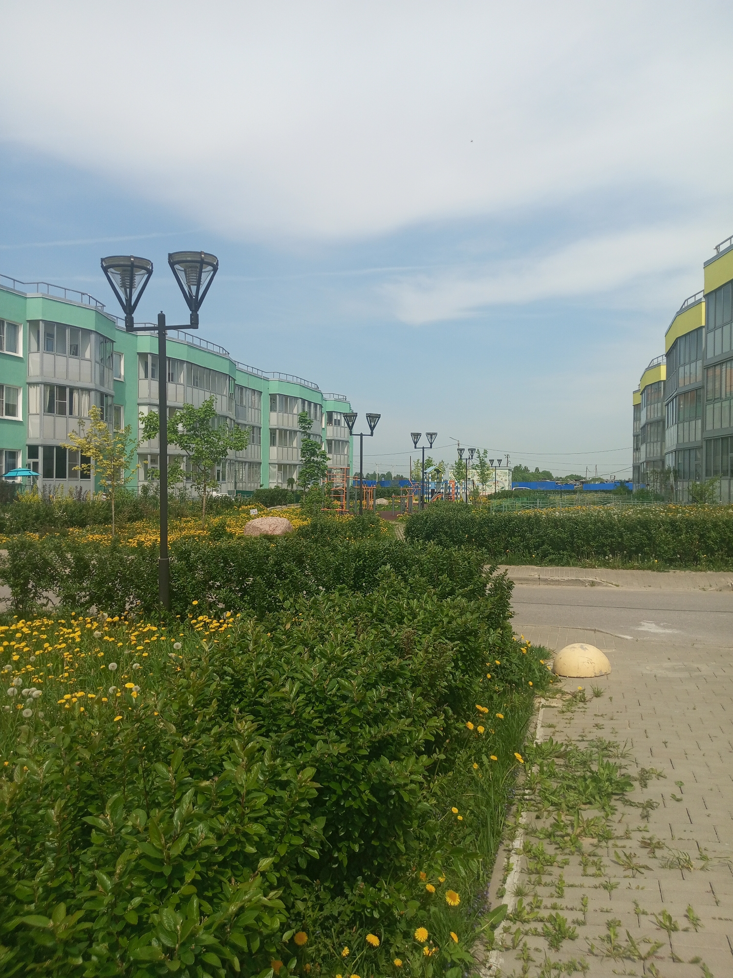 The image depicts a street scene in Kommunar, Russia. In the foreground, there is a paved sidewalk adjacent to a street. A hemispherical concrete barrier sits on the edge of the sidewalk. Lush green bushes and a field of dandelions are growing along the sidewalk.
In the background, modern apartment buildings can be seen. The buildings are predominantly green and yellow in color. There are ornamental street lamps visible in the middle ground. A playground with brightly colored equipment is situated between the buildings. The sky is light blue with scattered clouds.