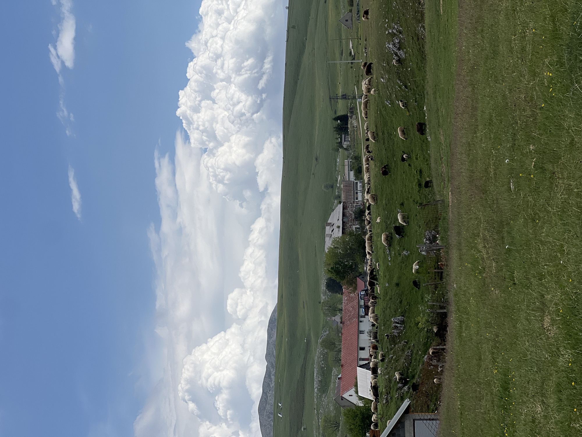 The image shows a landscape in Pišče, Montenegro. The scene features a blue sky with white clouds covering the left side of the frame. On the right side, there is a green grassy hillside with a herd of sheep grazing. Buildings with red roofs are nestled along the hillside. Power lines are visible stretching across the scene. The environment appears rural and mountainous.