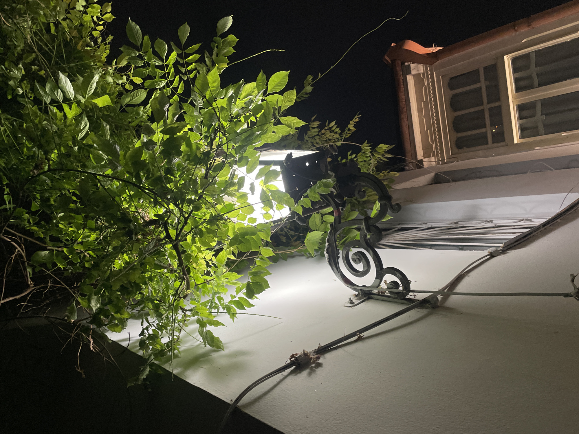 At night in Tbilisi, Georgia, a light illuminates the exterior of a building. The structure is painted a light color. A window with multiple panes sits near the edge of the building. An ornate metal fixture secures the light to the wall. A thick bundle of electrical wires is visible on the wall. A leafy green plant overhangs the light fixture.