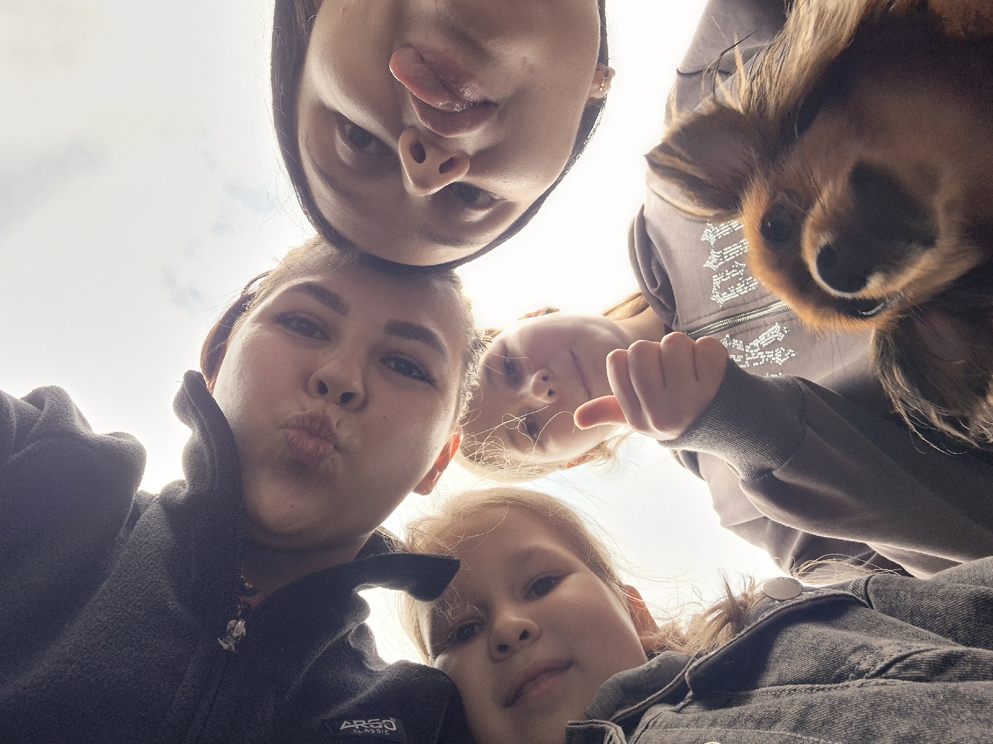 The image depicts a low-angle view of five individuals and one dog looking down towards the camera, forming a circular huddle against an overcast sky. The scene is located in Kharnavy, Russia.
At the top-center of the frame, a brown-furred dog, possibly a Spaniel or similar breed, is positioned with its snout, nose, and whiskers prominently visible. Its right eye is discernible.
Below and around the dog, five human subjects are visible. All are looking downwards.
One young female, positioned at the bottom-left, has dark hair and is partially sticking her tongue out. She wears a dark garment.
Another young female, at the bottom-right, has dark hair tied back and is making a "duck face" with pursed lips. She is wearing a dark gray or black fleece jacket with a zipper and a white "ARGO CLASSIC" logo on the right chest/shoulder area.
Towards the center-right, a young female with light-colored hair is partially visible.
At the top-right, another young female with light-colored hair is seen wearing a dark denim jacket.
Directly beneath the dog, a young female with light-colored hair is wearing a light brown or mauve zippered hoodie featuring a patterned, possibly reflective or glittery, design on the chest area.
The background consists of a bright, uniformly lit, overcast sky with subtle indications of cloud cover, suggesting an outdoor daytime setting with diffuse lighting. The overall composition creates a sense of subjects gathered closely above the viewer.