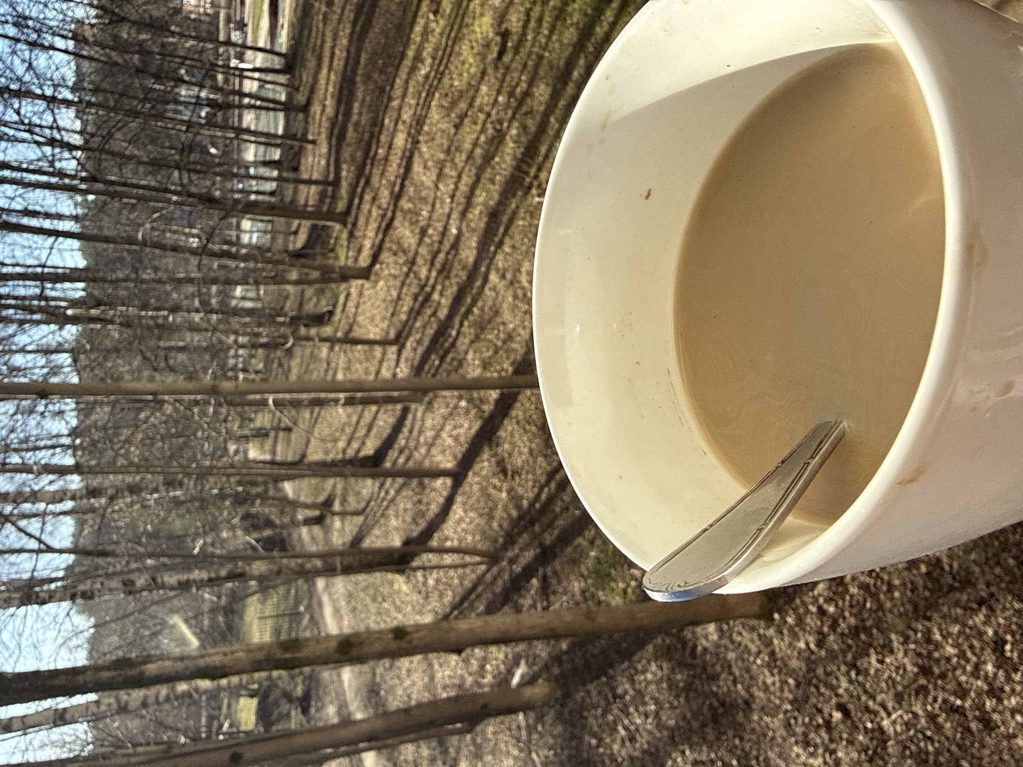 A top-down shot shows a white mug with coffee and a spoon inside. Outside the window, a row of bare trees casts long shadows on the ground, suggesting it's early spring. The location is likely in Dmitrov, Russia, but there is no way to prove this to certainty.