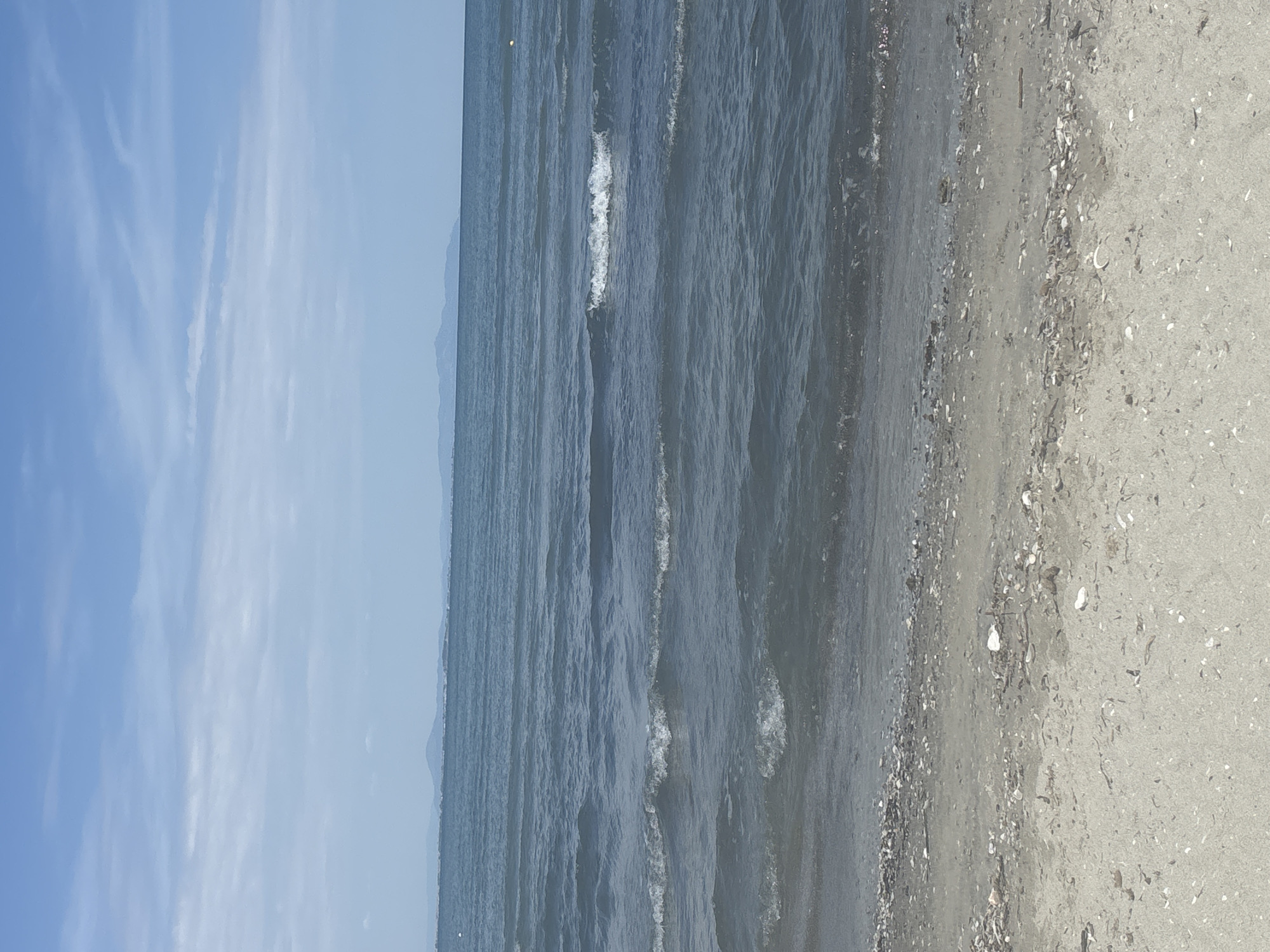 A serene, static medium shot captures a tranquil beach scene under a partly cloudy sky. The foreground is dominated by a sandy shore littered with small shells and debris, meeting the gentle lapping of shallow, clear water. Beyond this, the vast expanse of the ocean stretches towards a hazy horizon, where distant, muted landmasses are barely visible. The sky above is a soft blue, streaked with wispy white clouds, creating a peaceful and expansive atmosphere. The image is devoid of any human presence or discernible activity.