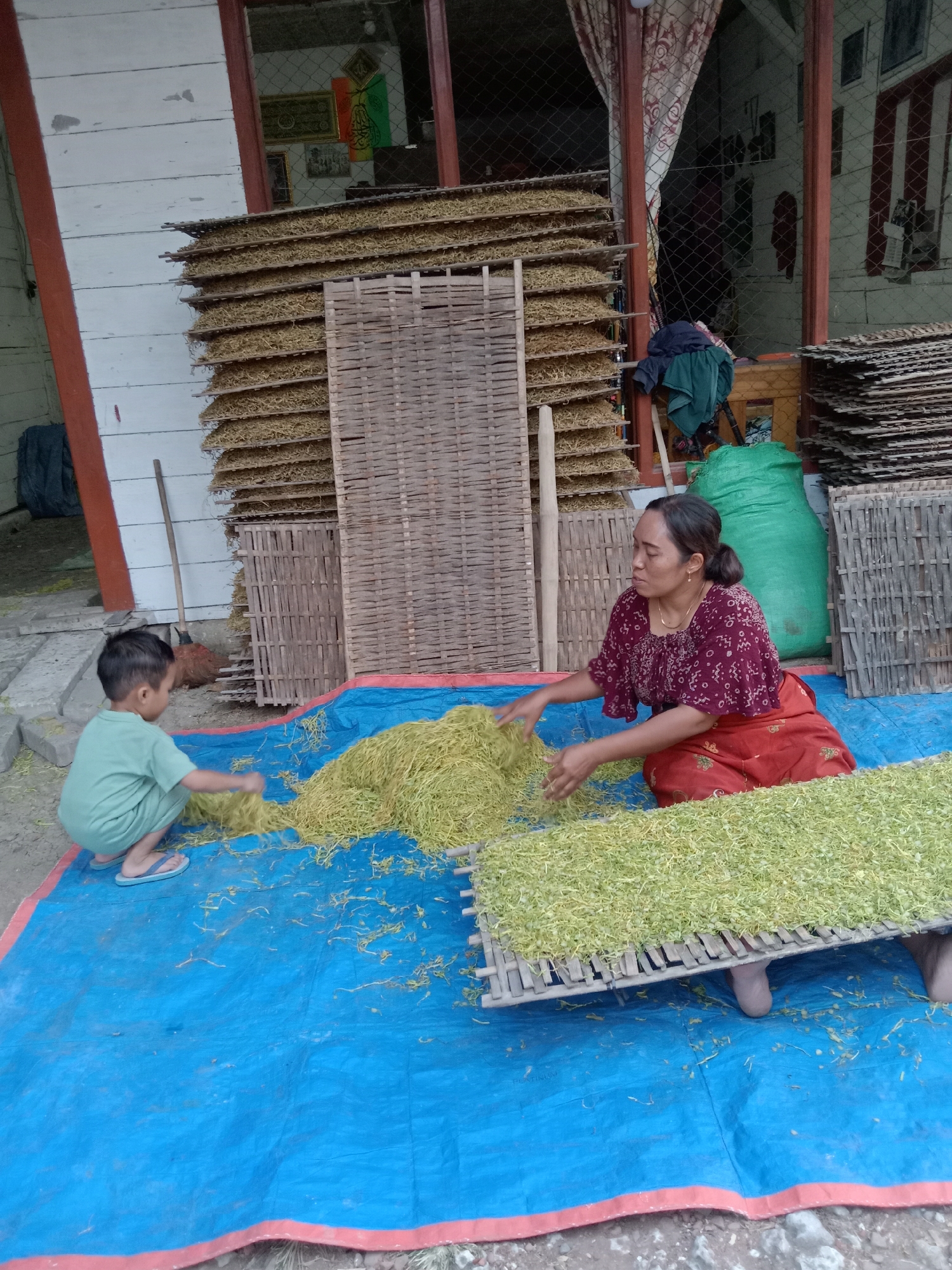 In the city of Jumput, Indonesia, a woman and a young boy are working on a blue tarp spread on the ground, drying what appears to be tobacco leaves. The woman, seated and wearing a red and maroon patterned blouse and a red skirt, is sifting through a pile of dried leaves with her hands. The boy, kneeling to her left, is wearing a light green t-shirt and shorts, also interacting with the leaves. Behind them, stacks of woven bamboo racks filled with drying tobacco are visible, leaning against a wooden structure. A large green sack and various woven screens are also present in the background. The scene takes place outdoors, with the ground appearing to be dirt and scattered stones. The setting suggests a rural or semi-rural environment, likely a processing area for agricultural products.