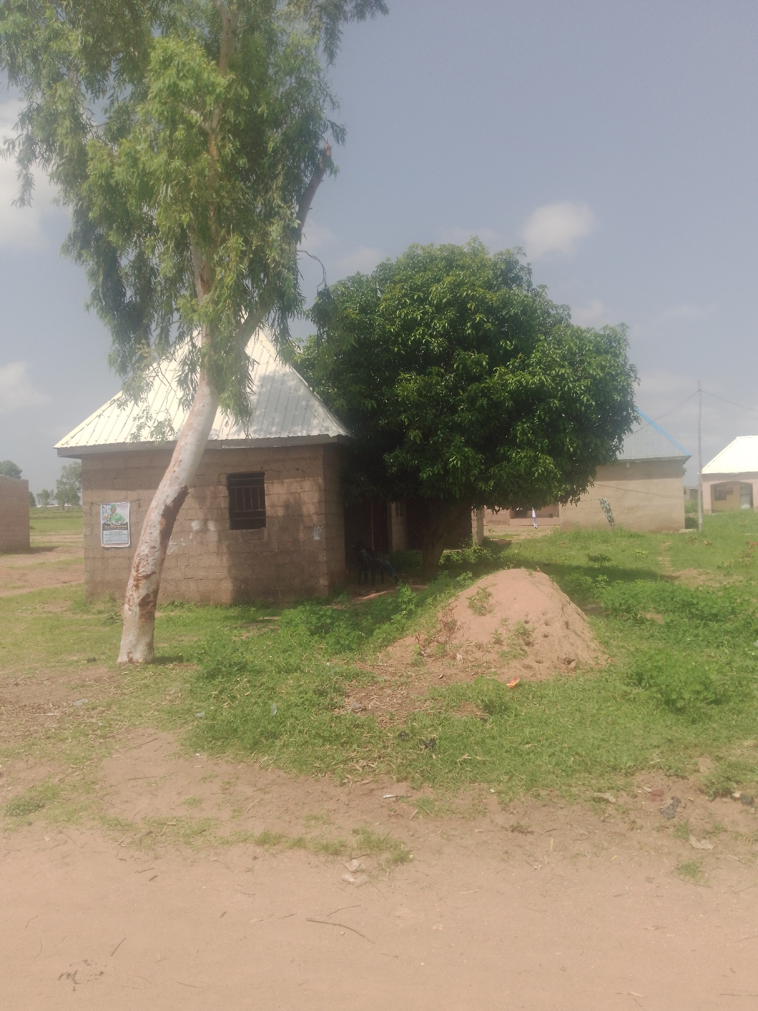 The image depicts a rural scene in Jauro Yinu, Nigeria, featuring a small, light-colored, brick building with a corrugated metal roof. A tall, slender tree with light bark and dense green foliage leans against the left side of the building. Adjacent to this building is a larger, mature tree with dark green, leafy branches. In the background, additional structures with similar roofing can be seen, along with sparse vegetation and a dirt path. The sky is overcast with a few wispy clouds. The ground is a mixture of dirt and grass, with a small mound of soil in the foreground. There are no people visible in the image.