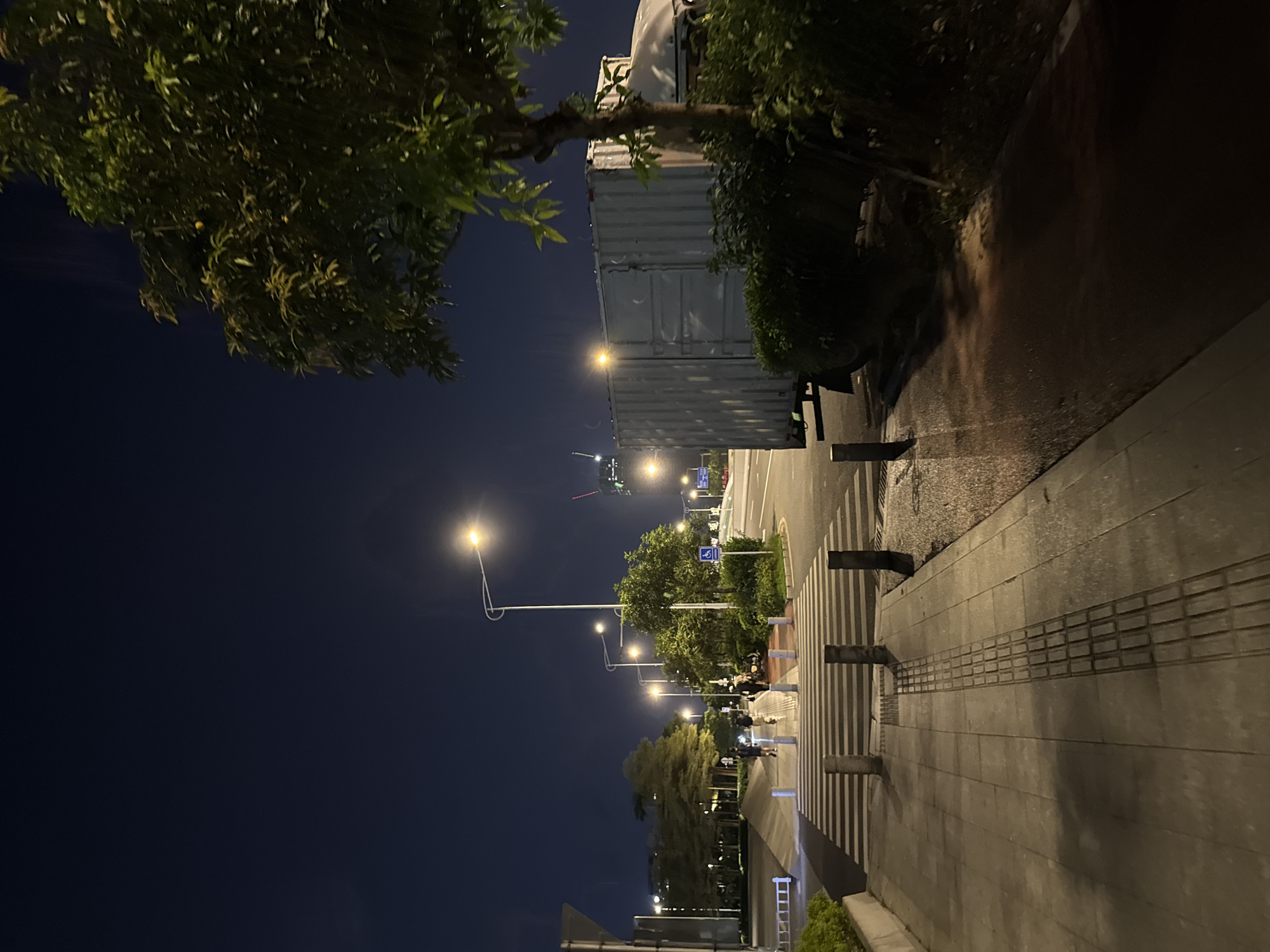 The image depicts a nighttime scene on a city street in Haizhu District, China. The perspective is from a sidewalk looking across a road and towards a line of trees and streetlights. A large white shipping container is visible on the side of the road, likely on a truck. Several streetlights illuminate the scene, casting a warm glow on the sidewalk and road. A pedestrian crosswalk is clearly marked, and there are a few people walking on the sidewalk. The sky is dark, indicating it is nighttime. The overall atmosphere is quiet and urban. There is a blue sign with a white wheelchair symbol indicating a disabled access point. The sidewalk has tactile paving for visually impaired pedestrians.