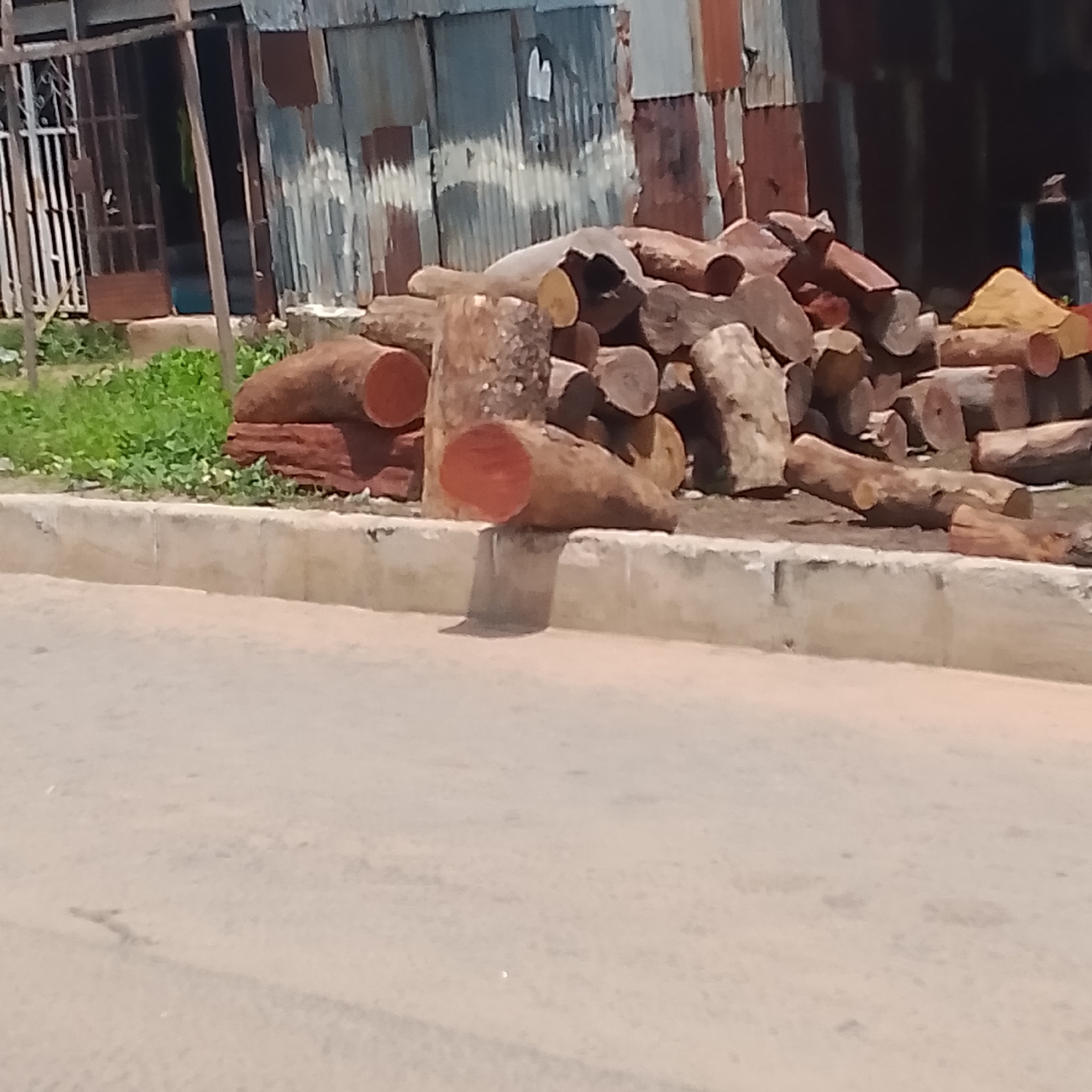 The image depicts a pile of cut logs of wood, likely timber, situated on a raised concrete curb next to a road. In the background, there is a rustic building constructed with corrugated metal sheeting and what appears to be wooden framing. A small patch of green vegetation is visible to the left of the logs. The scene is illuminated by natural daylight. The location appears to be an urban or semi-urban setting, possibly a commercial area or roadside storage in Jalingo, Nigeria.