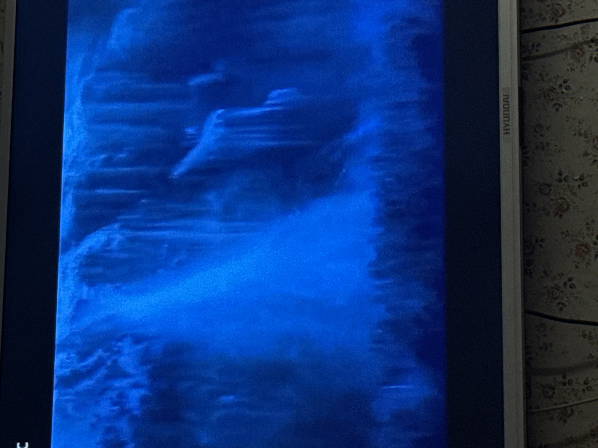 The image shows a blurred blue-toned screen displaying an unknown subject. The word "HYUNDAI" is printed vertically along the right edge of the screen. The screen is surrounded by a white bezel. A wall covered in a patterned wallpaper is visible to the right of the screen. The location within the city of Mytishchi, Russia cannot be determined from the image.