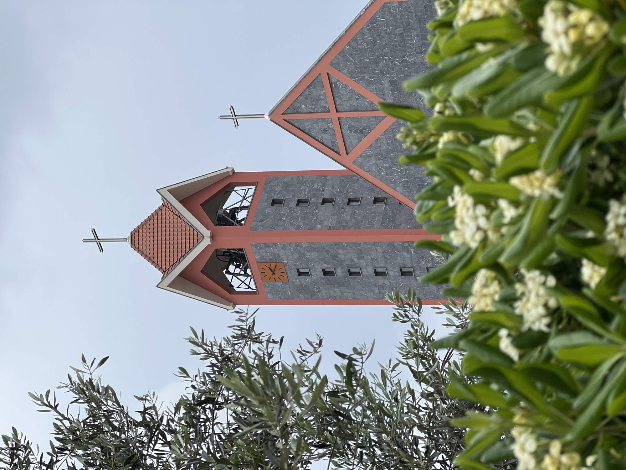 The image captures a distinctive church tower from a low-angle perspective against an overcast sky. The primary subject is a multi-faceted church building with striking architectural elements.
The central part of the structure is a bell tower, featuring a pointed, reddish-orange tiled roof topped with a slender silver cross. Below the roof, an open bell chamber reveals internal support structures and a bell. Further down the tower, a square clock face with minimal hour markers is set into a dark grey, possibly tiled, wall section. Several small, rectangular windows are arranged horizontally below the clock face. Adjacent to this main tower, another section of the church extends, characterized by a larger, geometric roofline, also made of dark grey tiled panels framed with reddish-orange elements. This section is also adorned with a silver cross at its peak.
In the foreground, partially obscuring the lower and right parts of the church, are branches from two types of trees. On the lower left and bottom, branches with slender, silvery-green leaves, characteristic of an olive tree, are visible. On the right side of the frame, a bush with vibrant green leaves and clusters of small white flowers is present, slightly out of focus.
The sky is a uniform, light grey, suggesting an overcast day. No specific human activity is depicted. The contemporary architectural style and the presence of olive trees are consistent with the location context of Bar, Montenegro. There is no legible text other than the markings on the clock face.