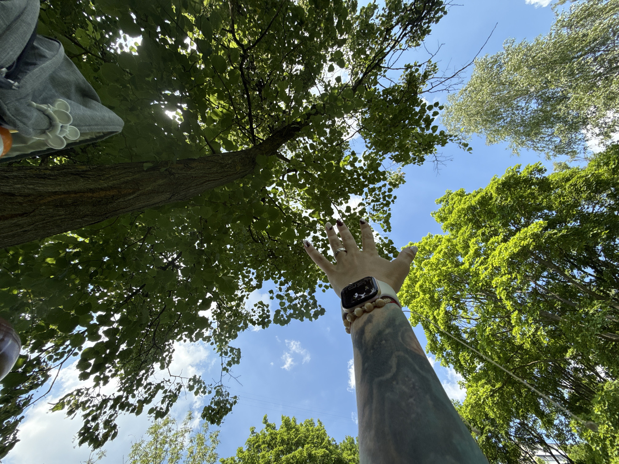 This image, taken from a low angle looking upwards, depicts a person's left arm and hand reaching towards the canopy of a large tree against a bright blue sky with scattered clouds. The arm is heavily tattooed with a marbled pattern. The person is wearing a light-colored watch with a beaded bracelet and several rings on their fingers. The leaves of the tree are lush green, with sunlight filtering through them, creating dappled light. In the background, other trees and parts of what appear to be buildings are visible. There is no identifiable location information within the image that would specify a location in Moscow, Russia.