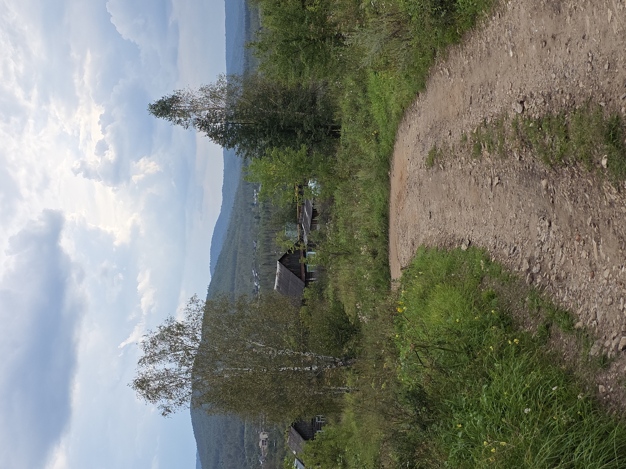 A dirt road curves through a landscape of rolling green hills and scattered houses under a cloudy sky. In the foreground, the road is composed of brown earth and small stones, with patches of green grass growing along its edges. Tall trees, including a prominent birch with white bark, stand on either side of the road, interspersed with dense green foliage. In the mid-ground, several rustic wooden houses with dark roofs are visible amidst the trees, suggesting a rural or semi-rural settlement. The background shows a series of receding hills covered in dark green vegetation, fading into the distance. The sky is filled with dramatic clouds, some appearing dark and heavy, while others are lighter, hinting at a variable weather day. The overall impression is one of a quiet, natural setting with a touch of human habitation. The location is identified as Magnitka, Russia.