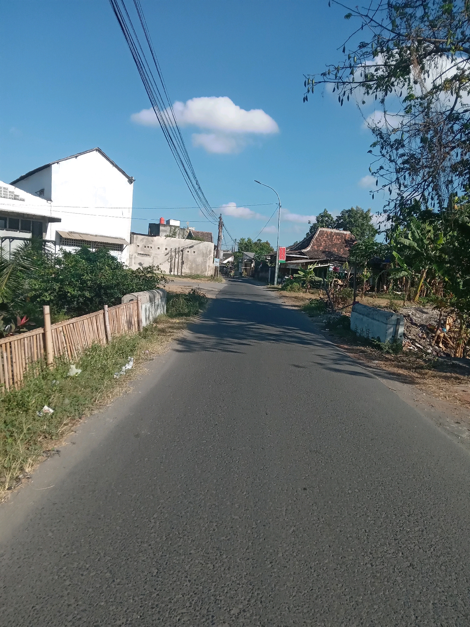The image captures a view of a paved road in Banguntapan, Indonesia, on a clear day with a blue sky and scattered white clouds. The road runs through a semi-rural or suburban area, with houses and vegetation lining its sides. On the left, a white building with a red-tiled roof is visible, adjacent to a property enclosed by a bamboo fence. Green bushes and some reddish plants grow behind the fence. Further down the road, more residential buildings with tiled roofs and concrete walls are present. The right side of the road features a dense cluster of trees, including banana trees and other tropical vegetation. Some debris, including pieces of wood and concrete, is piled on the edge of the road near the trees. Overhead, electrical wires are strung across the sky, and a street lamp is visible. The overall scene suggests a typical day in a residential area of Banguntapan.