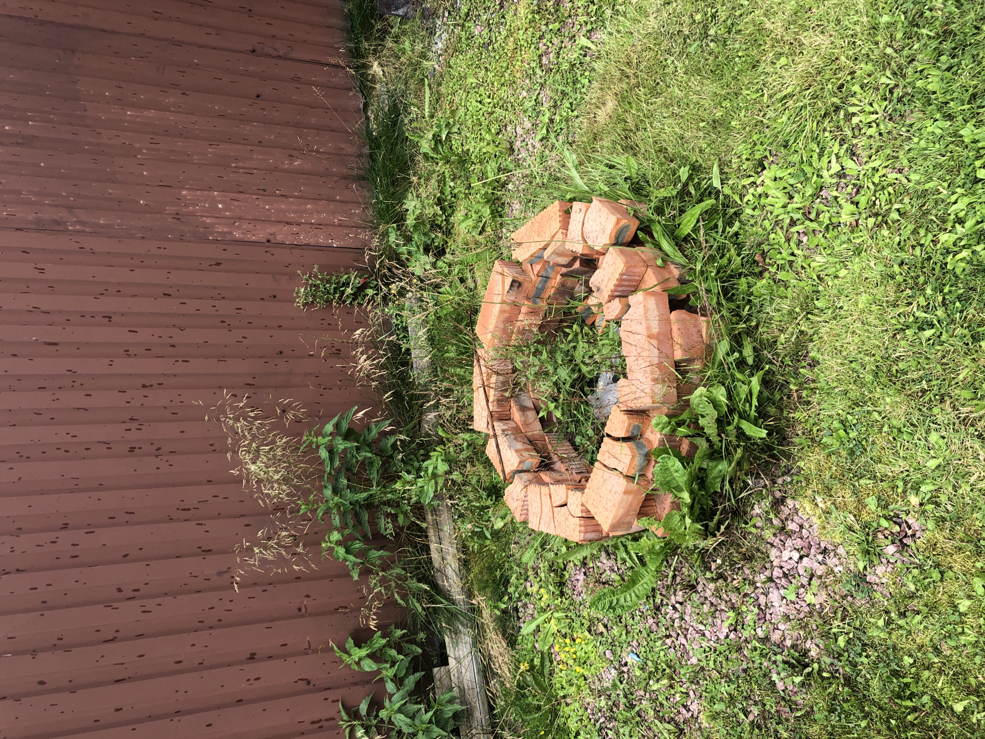 In an outdoor scene within Московский Ветеран Снт, Russia, a partially constructed ring of red bricks lies on a patch of grass and gravel. The bricks are stacked in a circular fashion, forming a boundary for what appears to be a fire pit. The surrounding area is overgrown with green grass, weeds, and some taller, dry grasses. In the background, a tall, corrugated metal fence, painted a dark reddish-brown, stands vertically. The fence has numerous small, dark, irregular marks on its surface. Several green plants are growing at the base of the fence, interspersed with the taller grasses. The lighting suggests it is daytime, with possibly overcast conditions, as indicated by the relatively diffused light. There are no people visible in the image.
