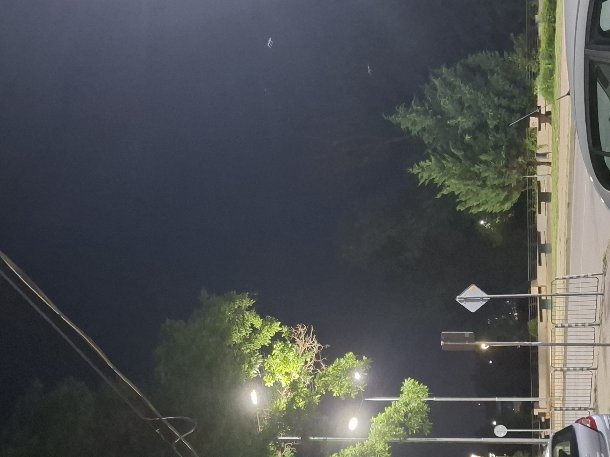 The image captures a nighttime scene in an urban park or along a street. In the foreground, a silver car is partially visible on the right side. A metal fence lines the edge of a pathway, behind which are benches and a trash can. Two streetlights illuminate the foliage of a large tree on the left, which has green leaves and some brown, dried branches. A power line runs diagonally across the upper portion of the image. In the background, a dense collection of trees forms a dark silhouette against the night sky. There are also at least three faint, blurry white shapes in the sky, possibly birds in flight, and one small, indistinct white light. Two traffic signs are also visible.