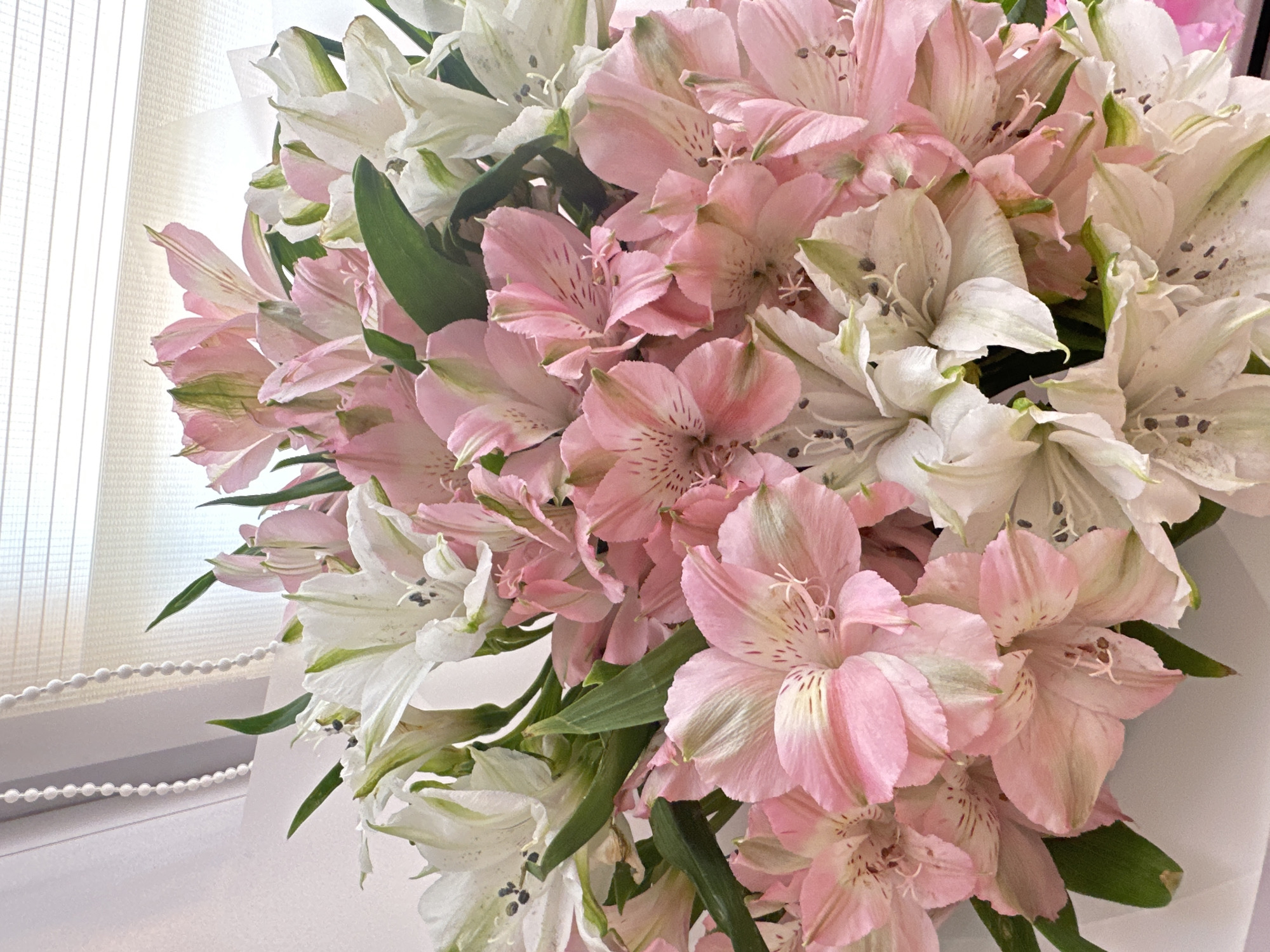 A close-up shot of a bouquet of pink and white alstroemeria flowers. Green leaves are interspersed among the blossoms. The background includes a window with a white blind. The precise location within Chaikovsky, Russia, is not discernable from the image.