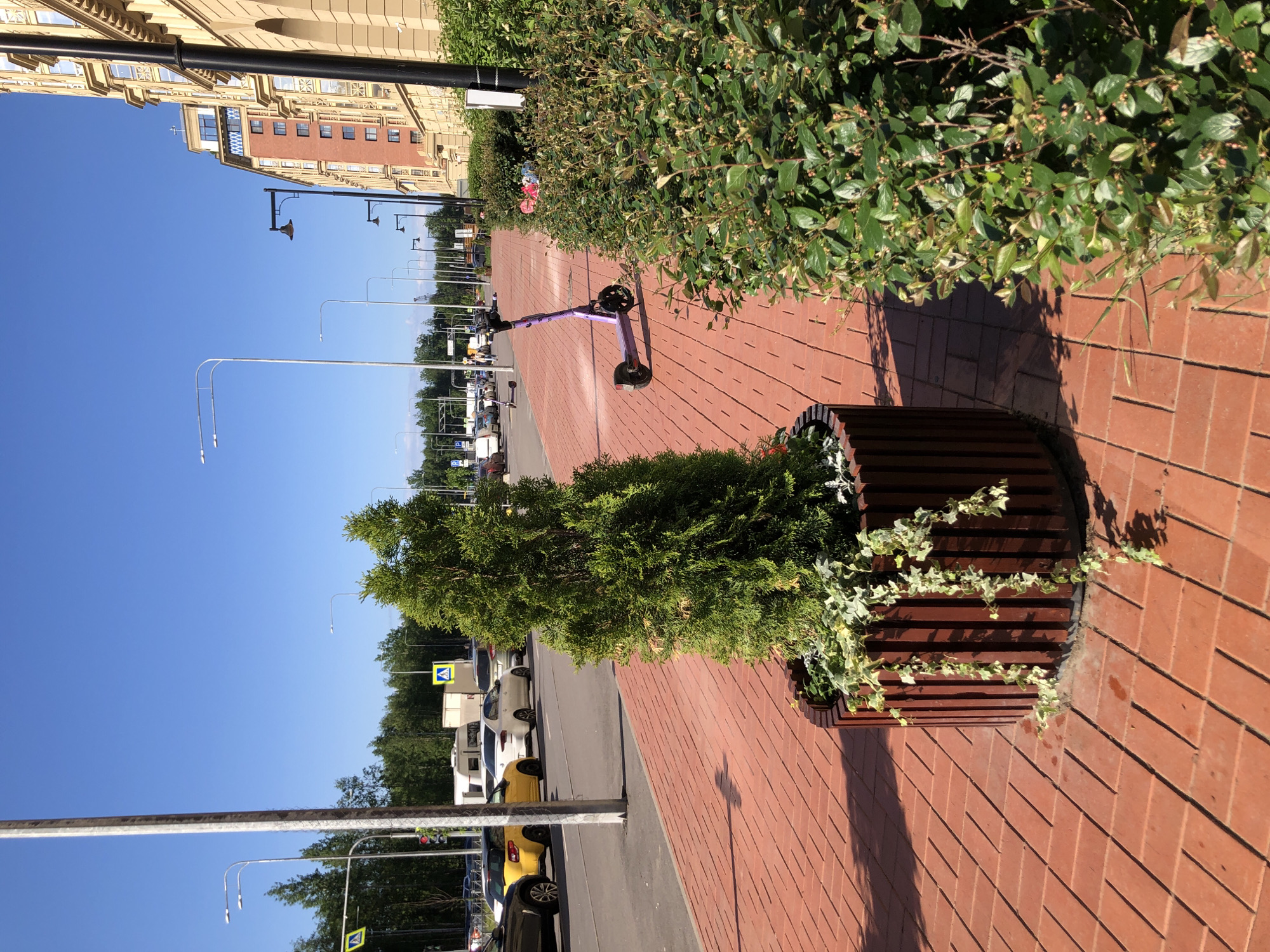 The image displays a sunlit urban street scene in Saint Petersburg, Russia, characterized by a mix of infrastructure, natural elements, and parked vehicles.
On the right side, a red brick sidewalk stretches into the distance, brightly illuminated by direct sunlight, which casts distinct shadows. Along this sidewalk, a lush green hedge runs parallel to the path. Several large, slatted wooden planters are placed on the sidewalk; one in the foreground holds a tall, conical evergreen shrub and trailing green and white ivy. Further back, a purple electric scooter is conspicuously parked on the brick surface.
To the left of the sidewalk is an asphalt road with multiple lanes. Numerous cars are visible, including yellow, white, and darker vehicles, some parked along the curb and others potentially moving in the distance. The road is lined with several tall lampposts and beyond them, a canopy of green trees. Distinctive yellow pedestrian crossing signs, featuring a blue triangle with a white walking figure, are intermittently visible.
The upper left portion of the frame is dominated by a clear, bright blue sky. On the far left, a multi-story building with an ornate yellow-beige facade and sections of brown brick stands, showcasing classic European architectural design. The overall scene conveys a calm, daytime atmosphere with no people clearly visible and no other discernible text beyond the pedestrian crossing symbols.