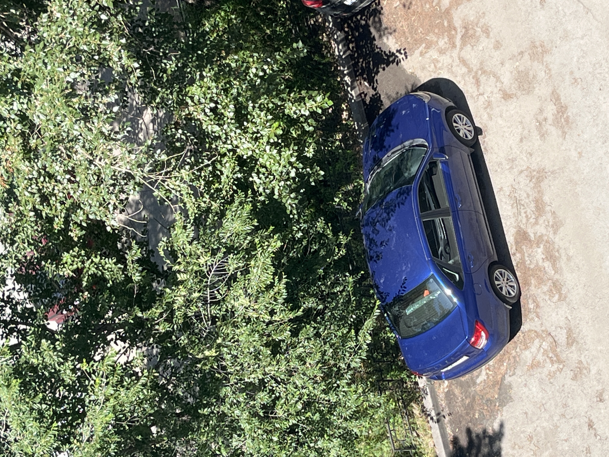 The image depicts a blue sedan parked on a concrete surface, likely a parking lot or street, adjacent to a dense green tree line. The scene is bathed in sunlight, casting dappled shadows from the leaves onto the car and the ground. The car is the primary subject, seen from a high-angle perspective, revealing its rear and part of its side. The tree line is lush and full of leaves, suggesting a warm season. A portion of another vehicle, dark in color, is partially visible on the right edge of the frame. The context suggests an urban or suburban environment within the city of Chelyabinsk, Russia, given the provided information, though no specific landmarks are visible to confirm this location. There are no people or discernable actions taking place in the image. The overall atmosphere is one of a quiet, ordinary day.