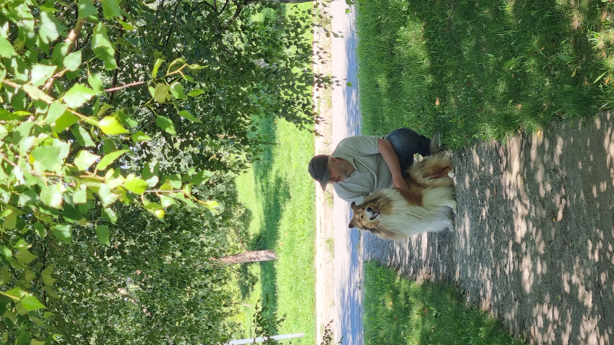 A man wearing a light-colored polo shirt and a dark baseball cap kneels on a dirt path in a park setting, next to a long-haired, tan and white dog that is sitting. The man has his left hand on the dog's back. They are positioned under the dappled shade of a large tree with green leaves. In the background, there is a paved road and a grassy slope with trees. The scene is set in the city of Verzilovo, Russia, on a bright, sunny day.